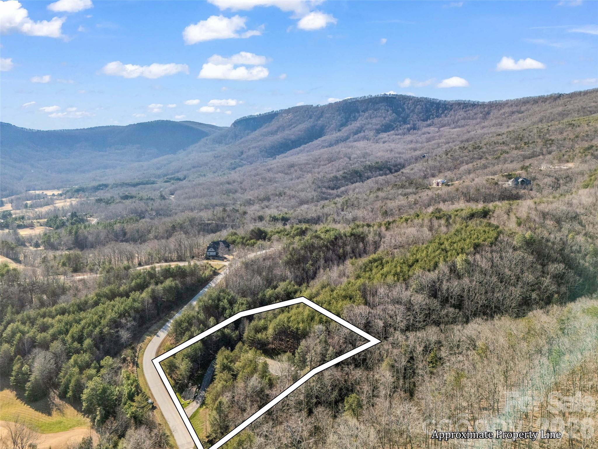 Lot at 61 Deep Gap Farm Road E, Mill Spring, photo 5 of 36