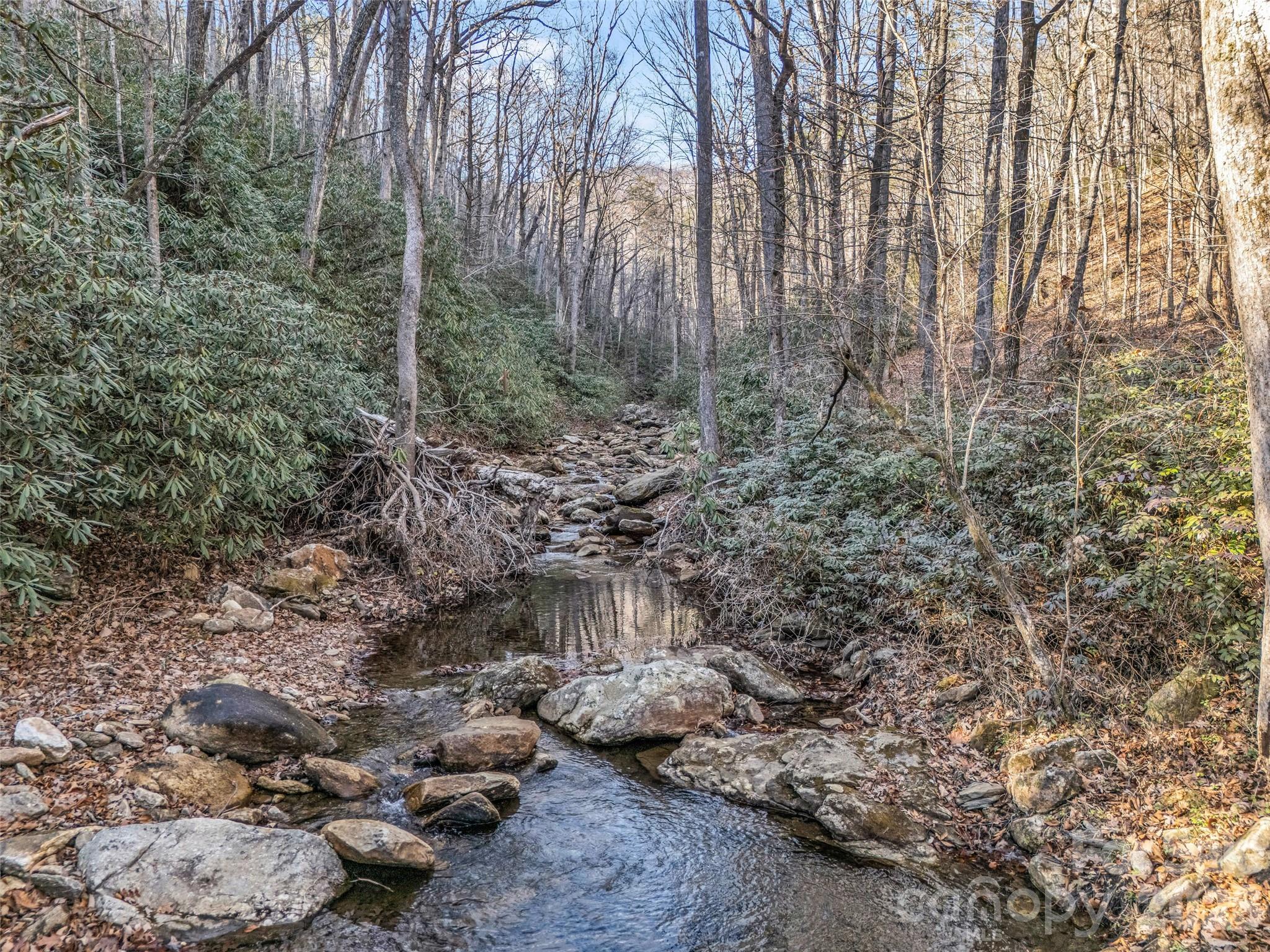 Lot at 61 Deep Gap Farm Road E, Mill Spring, photo 14 of 36