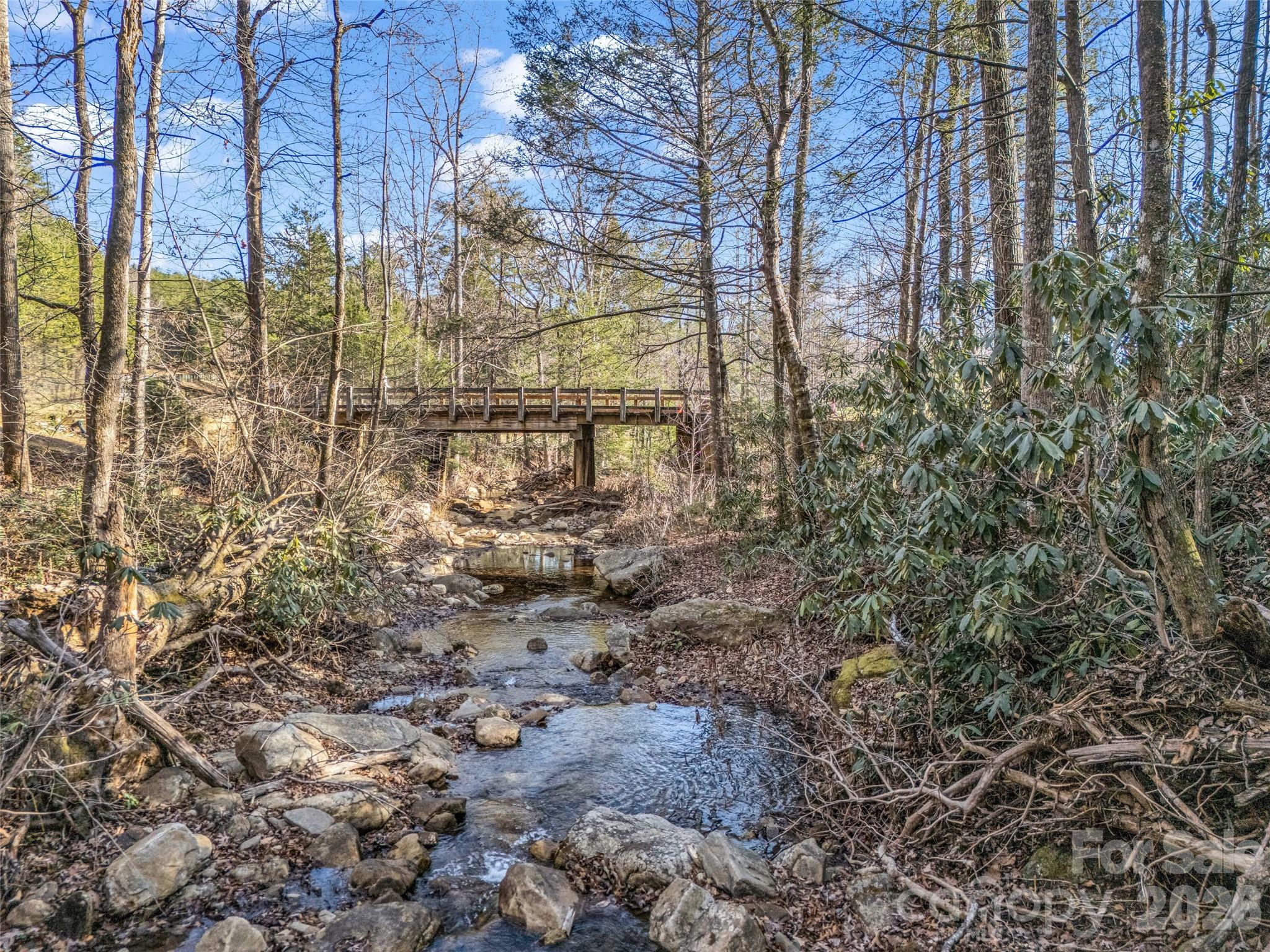 Lot at 61 Deep Gap Farm Road E, Mill Spring, photo 15 of 36