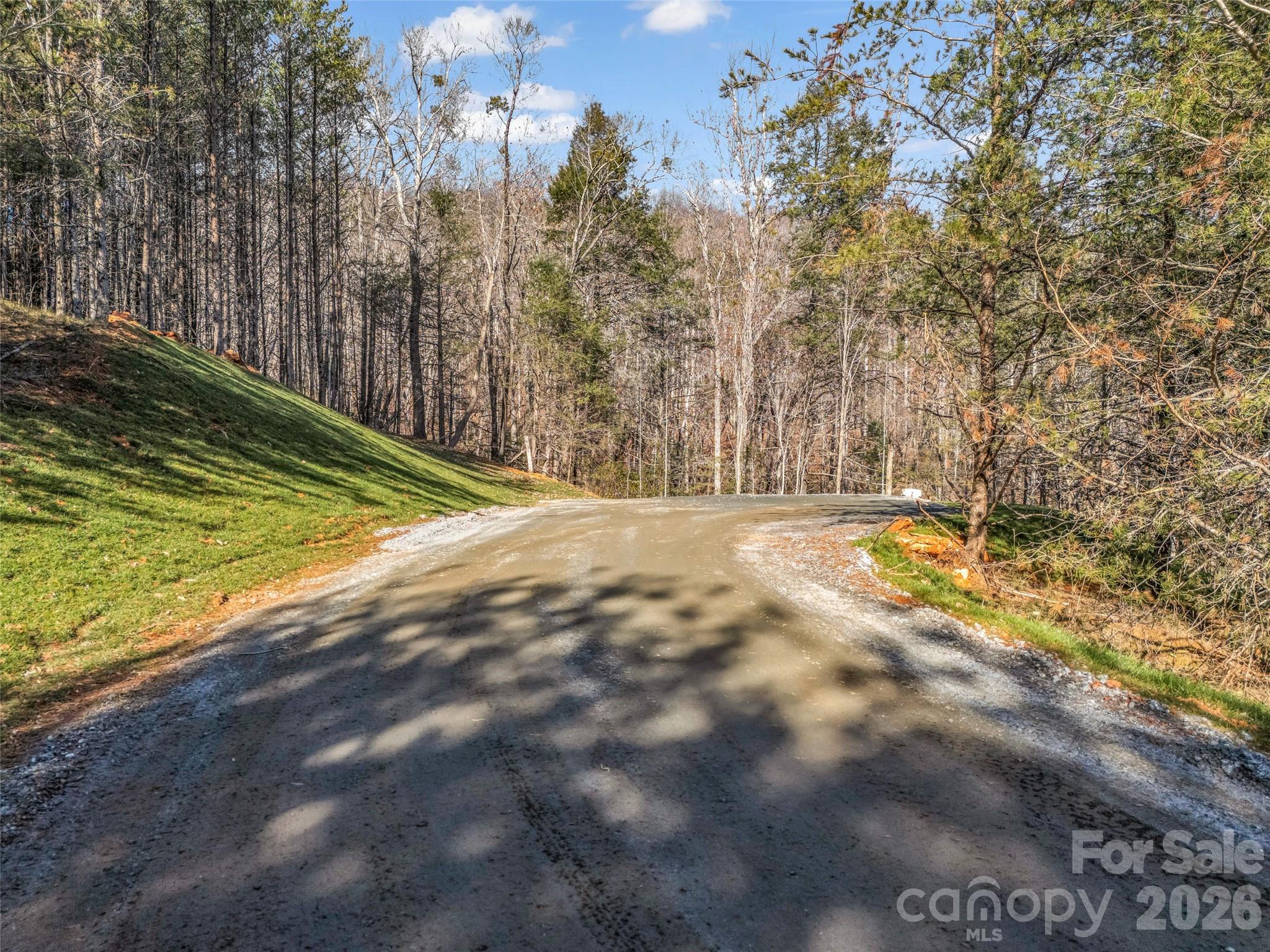 Lot at 61 Deep Gap Farm Road E, Mill Spring, photo 21 of 36