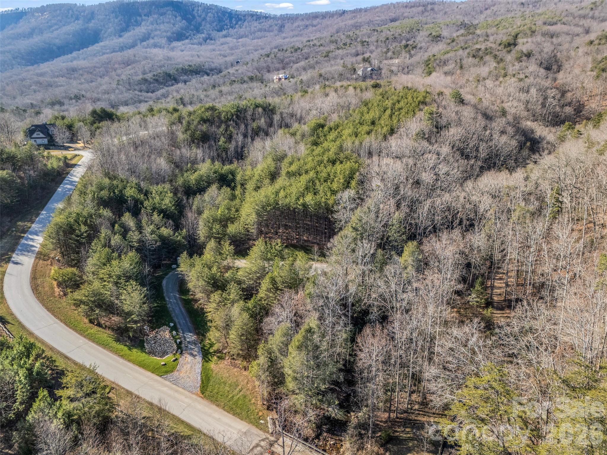 Driveway into homesite - 61 Deep Gap Farm Road E, Mill Spring