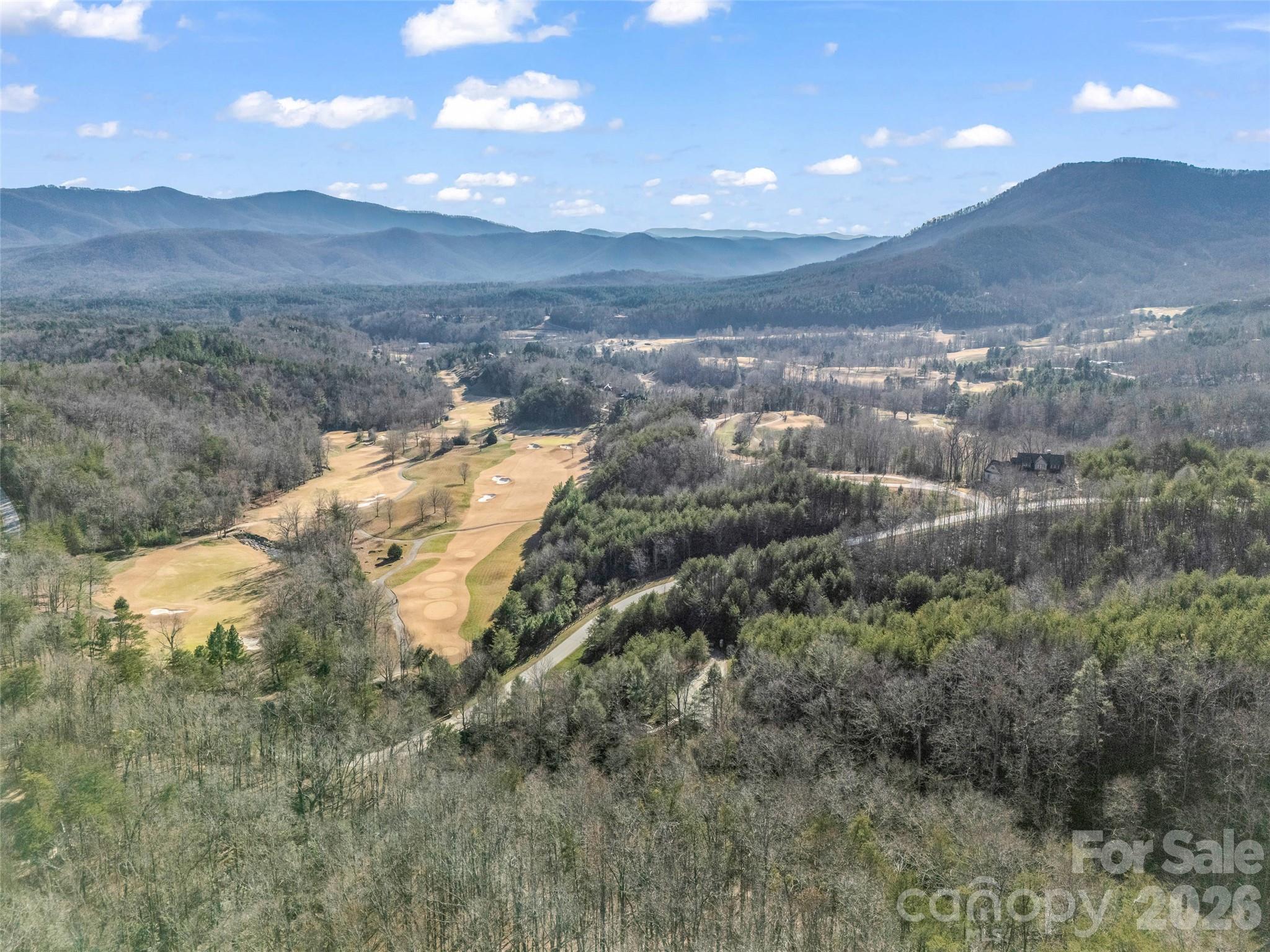Lot at 61 Deep Gap Farm Road E, Mill Spring, photo 26 of 36