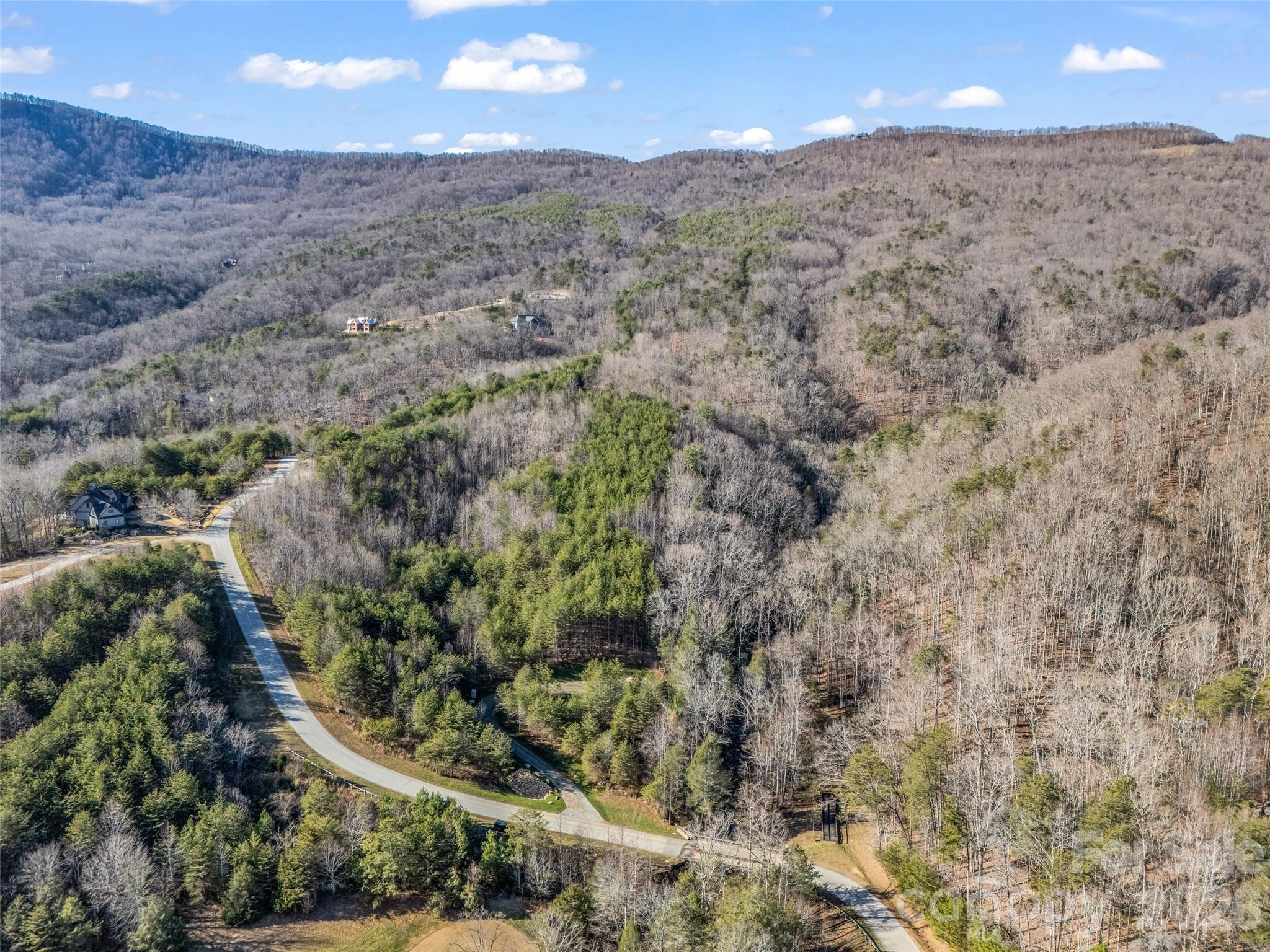 Lot at 61 Deep Gap Farm Road E, Mill Spring, photo 29 of 36