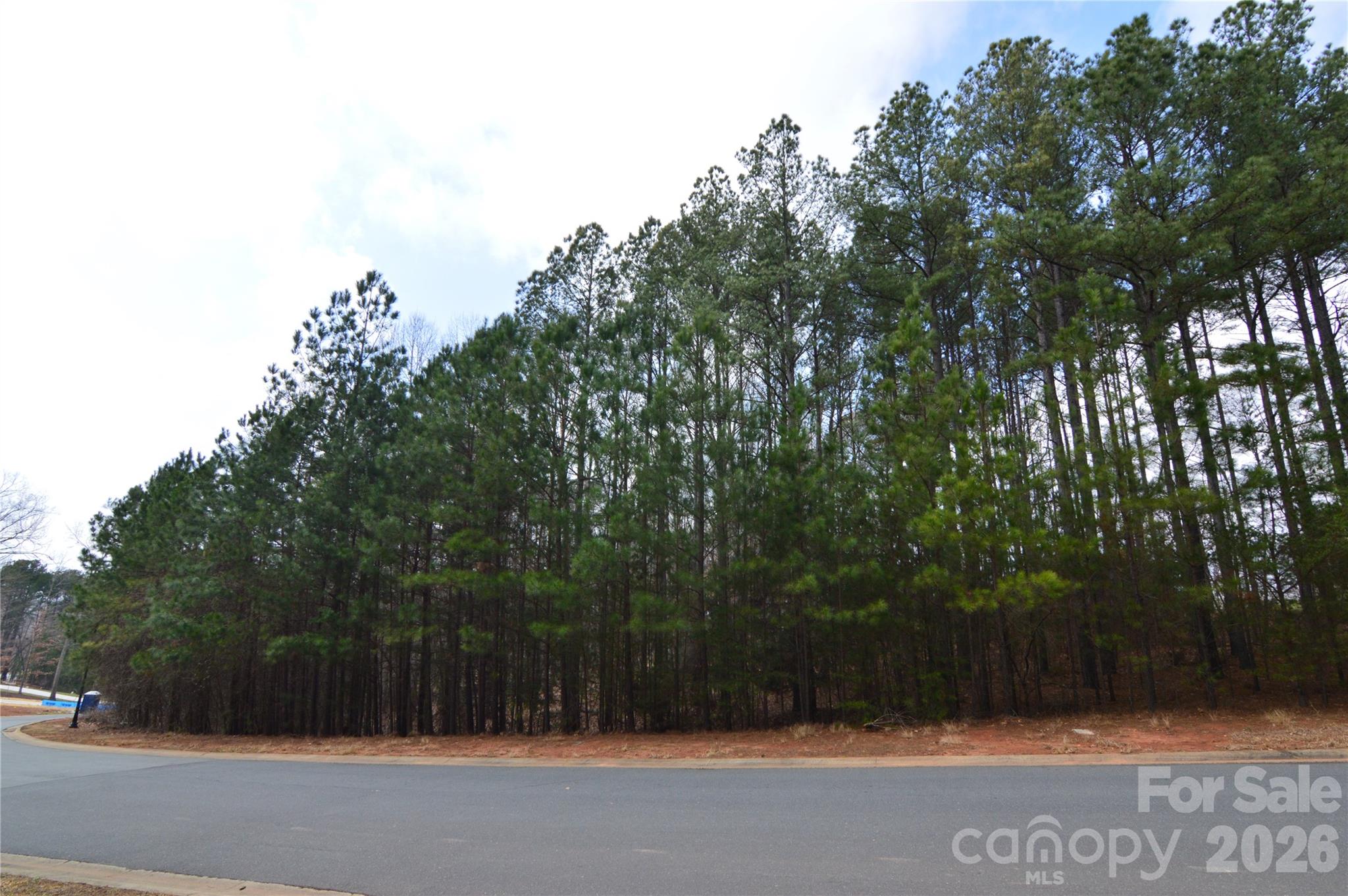 Center lot view - 5016 Hermitage Court, Belmont