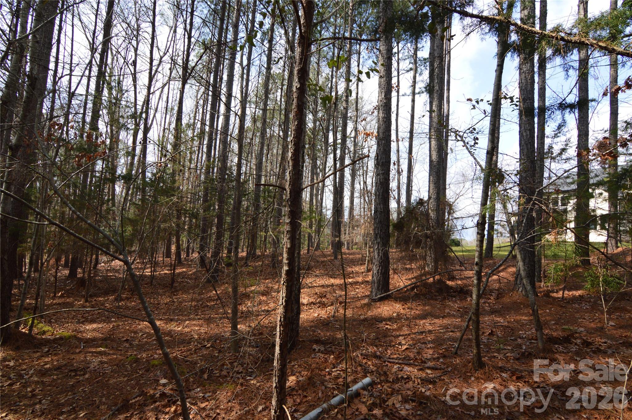 Lot at 5016 Hermitage Court, Belmont, photo 6 of 48