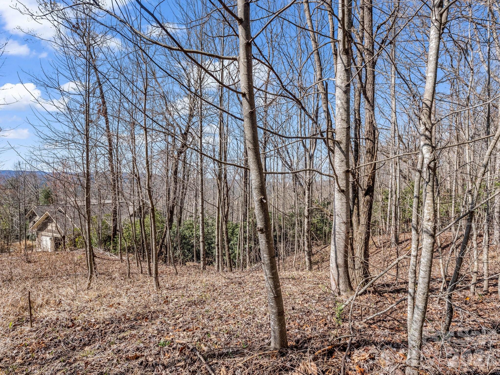 Flat spot at top - 142 Mountain Elder Lane, Hendersonville