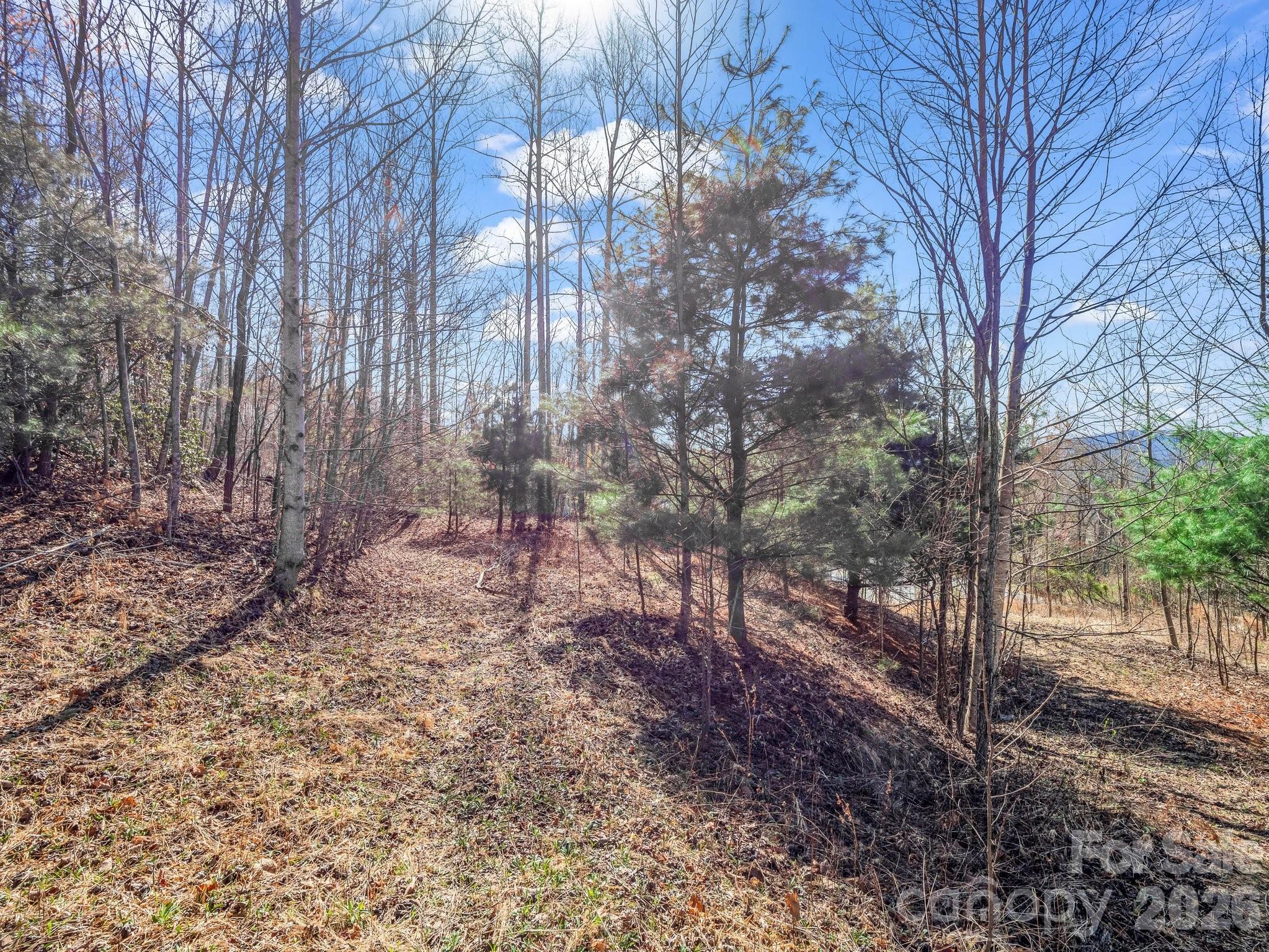 At top looking to the right southeastern views - 142 Mountain Elder Lane, Hendersonville