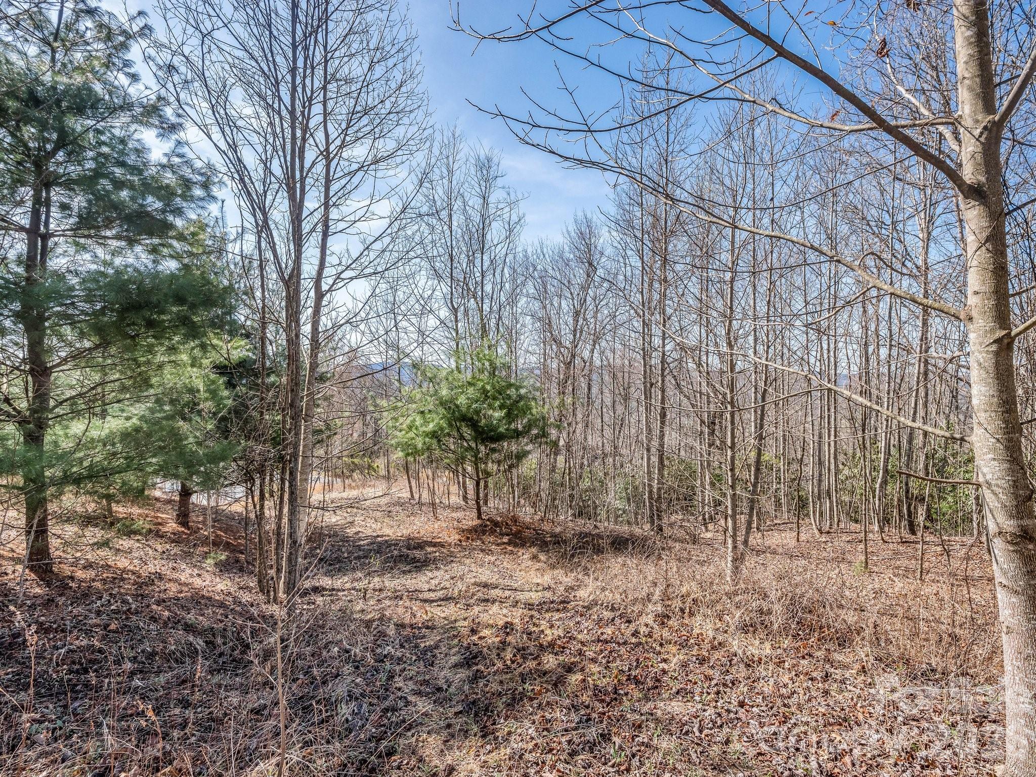 Flat build spot with views - 142 Mountain Elder Lane, Hendersonville