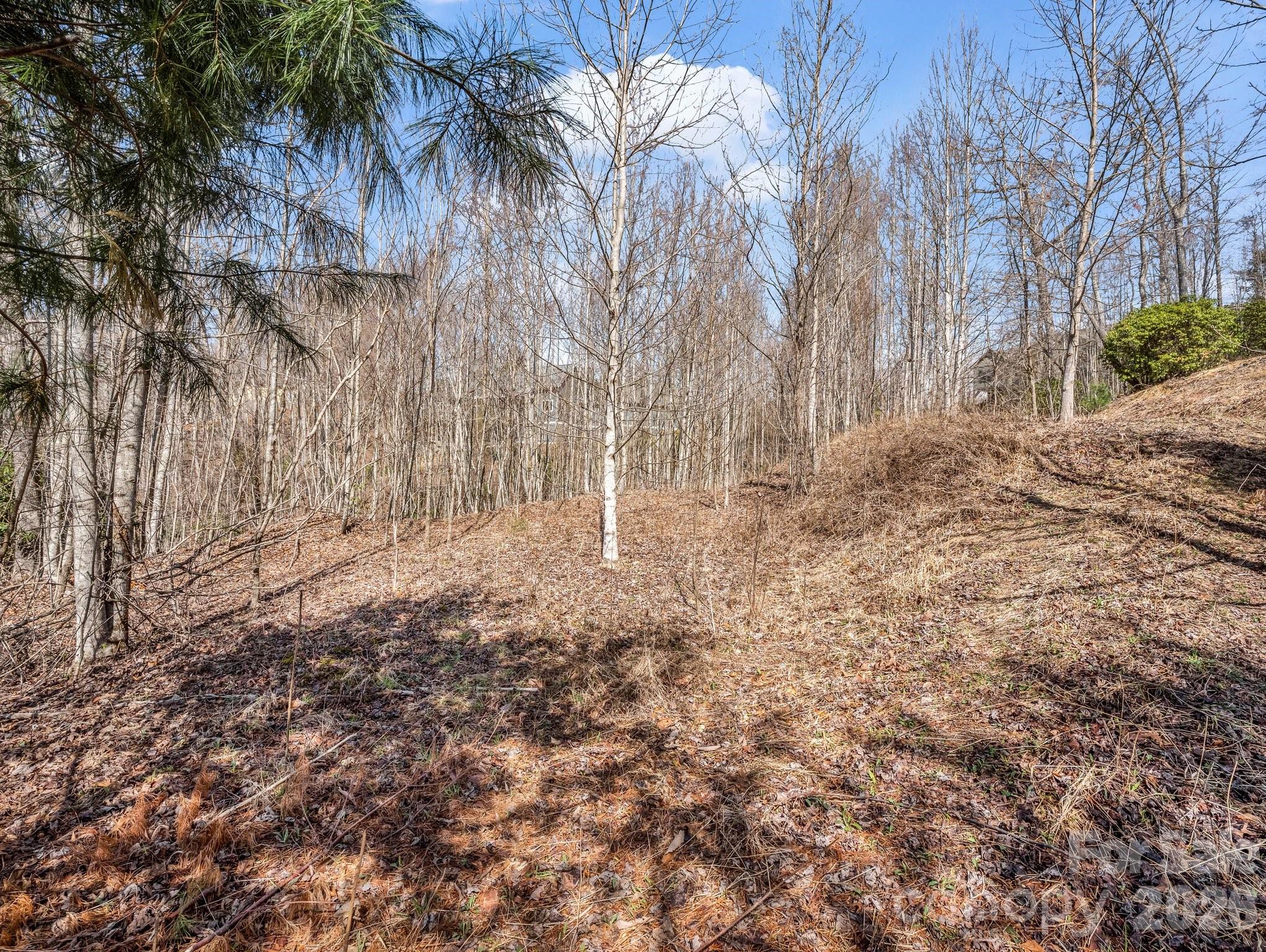 Flat build spot ideal for ranch or multi-story - 142 Mountain Elder Lane, Hendersonville