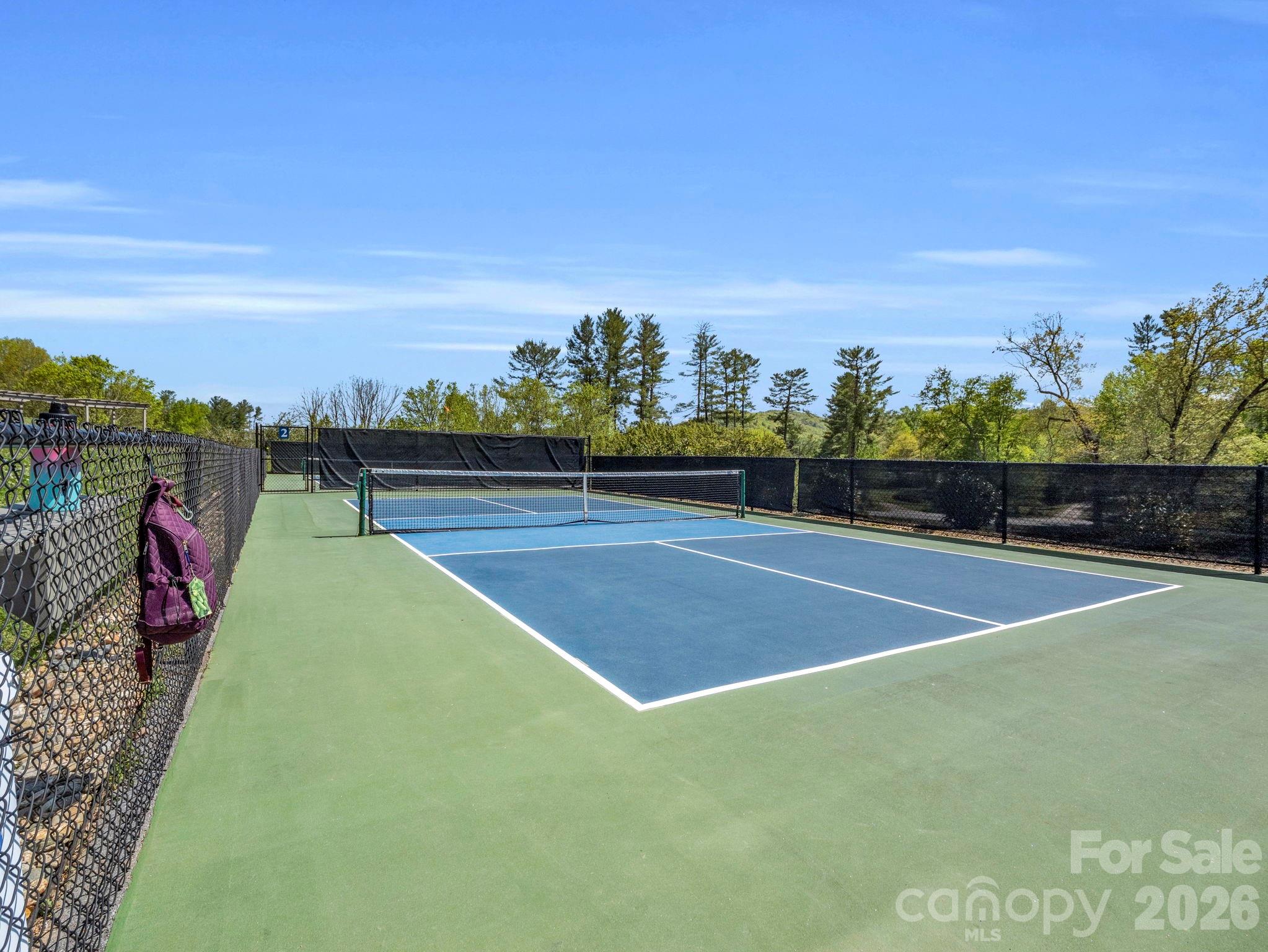 Tennis Court - 142 Mountain Elder Lane, Hendersonville