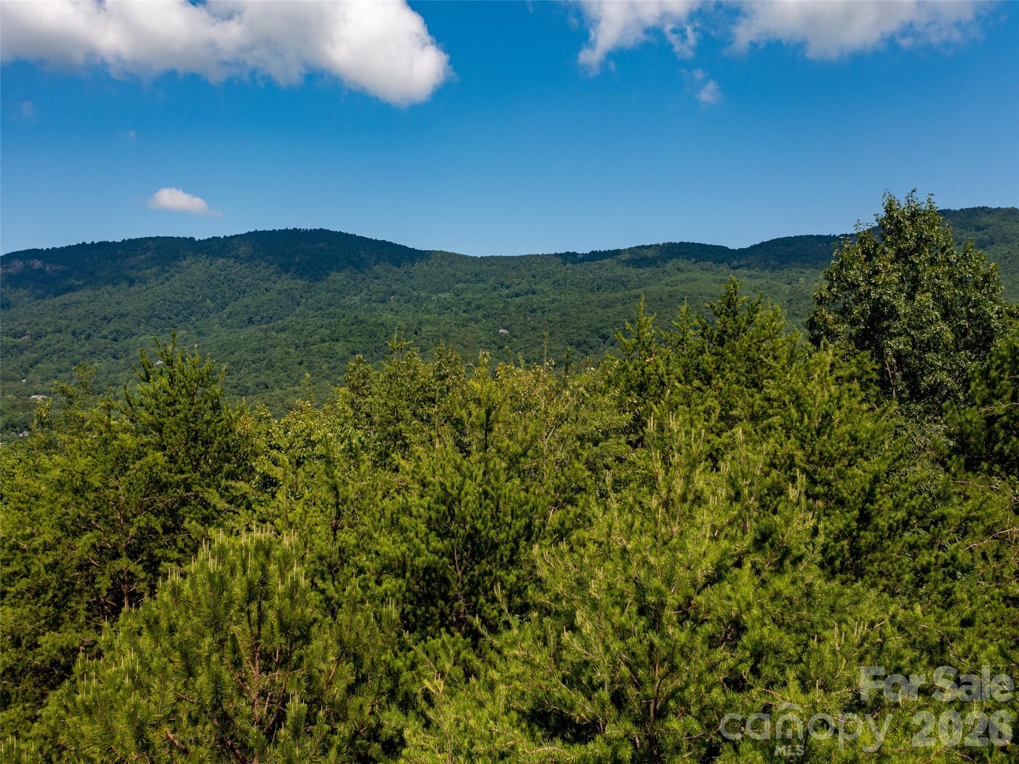 Single Family Residence at 40 Deep Gap Farm Road E, Mill Spring, photo 11 of 20