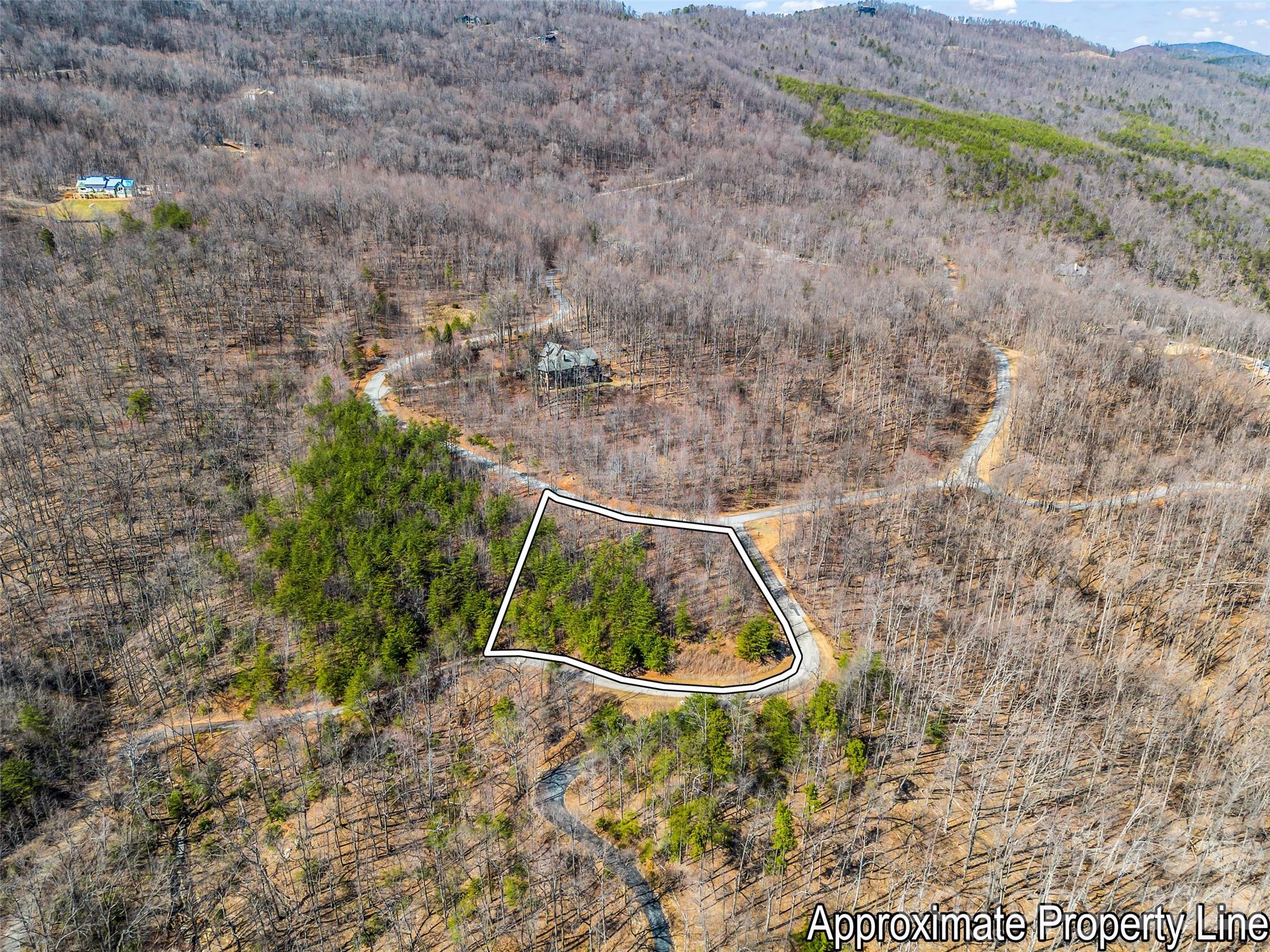 Lot at 190 Cherry Hill None, Mill Spring, photo 2 of 39