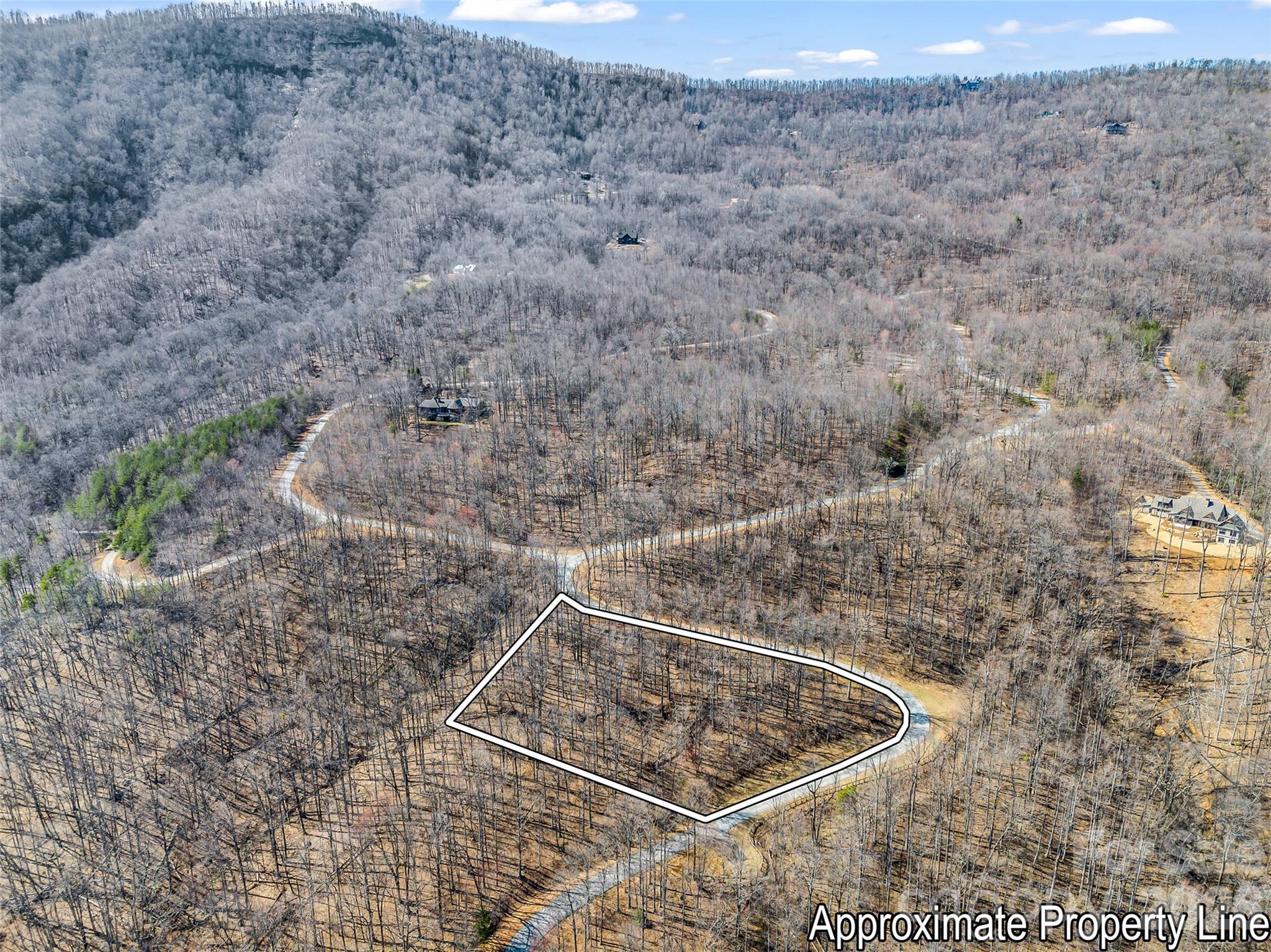 Lot at 183 Chesterfield Drive, Mill Spring, photo 2 of 35