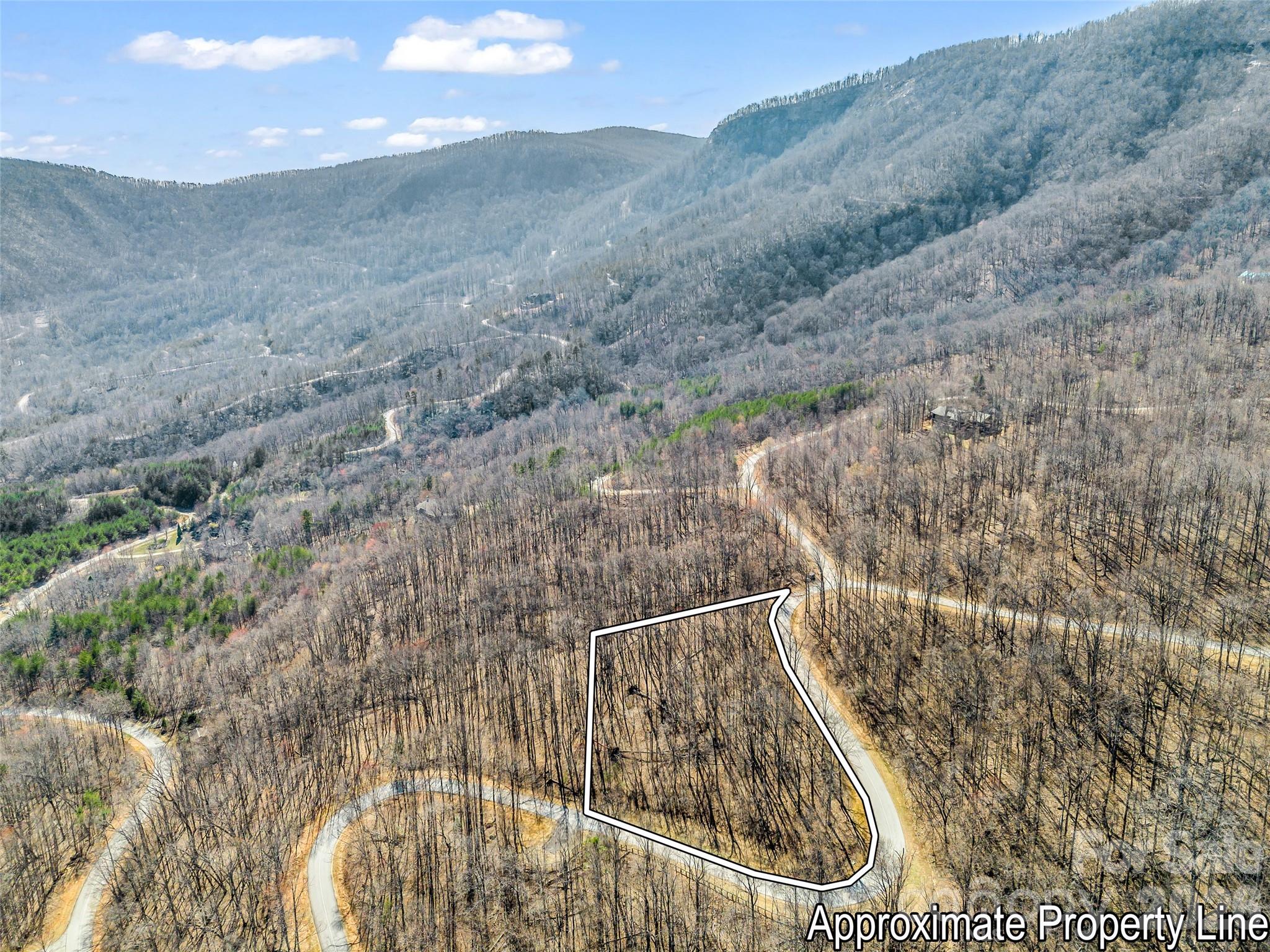 Lot at 183 Chesterfield Drive, Mill Spring, photo 3 of 35