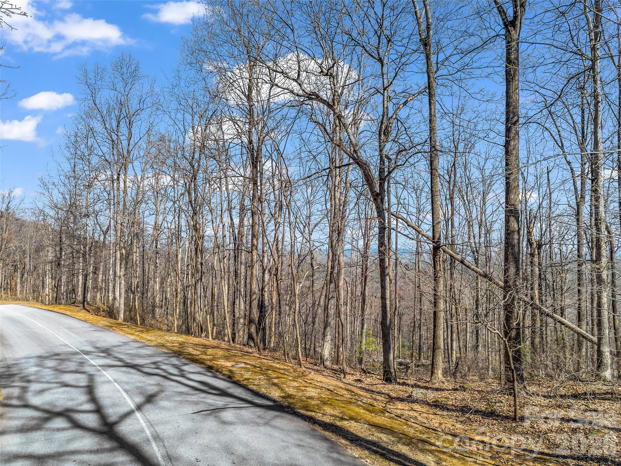 Lot at 183 Chesterfield Drive, Mill Spring, photo 5 of 35