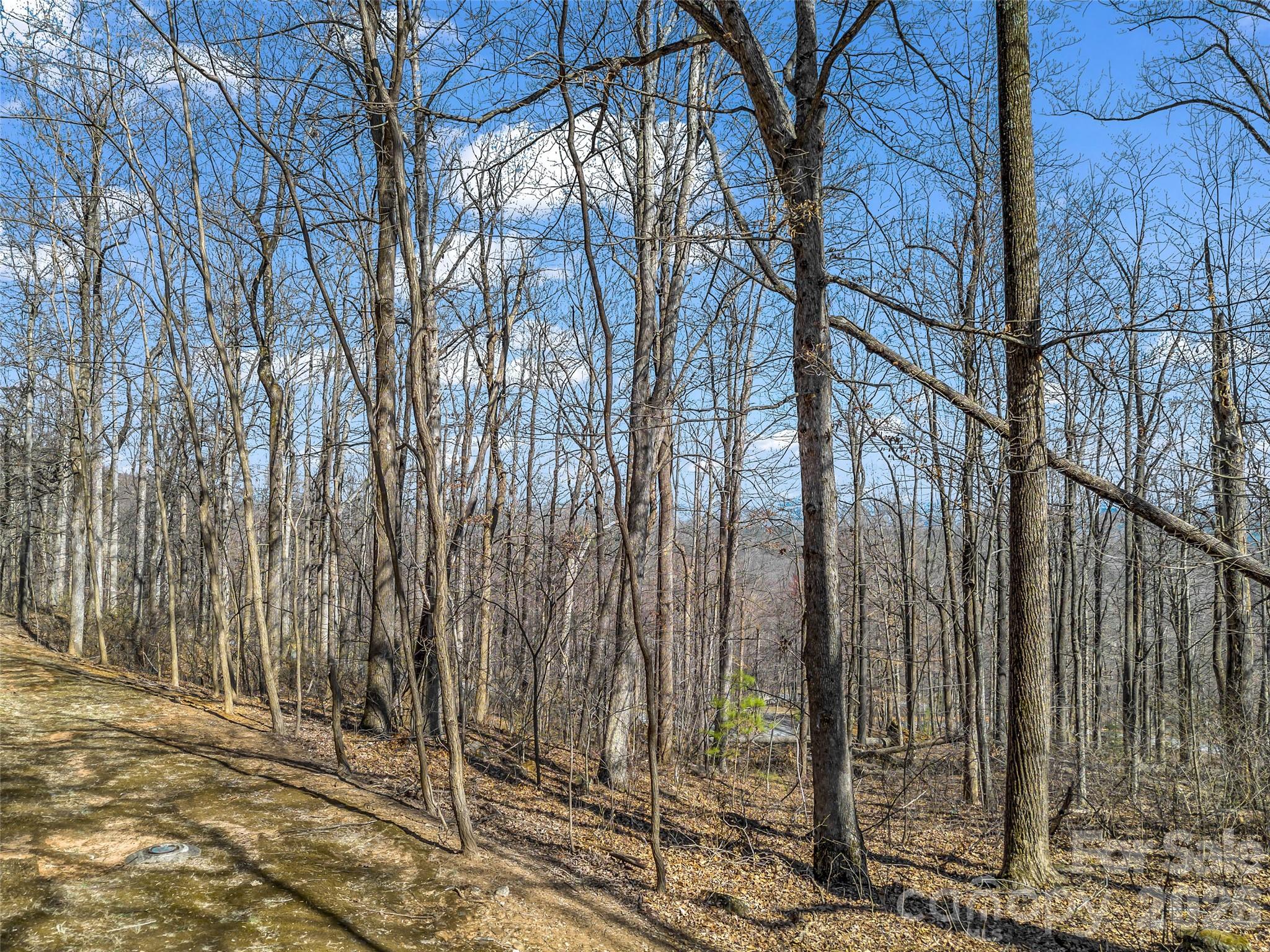 Lot at 183 Chesterfield Drive, Mill Spring, photo 6 of 35
