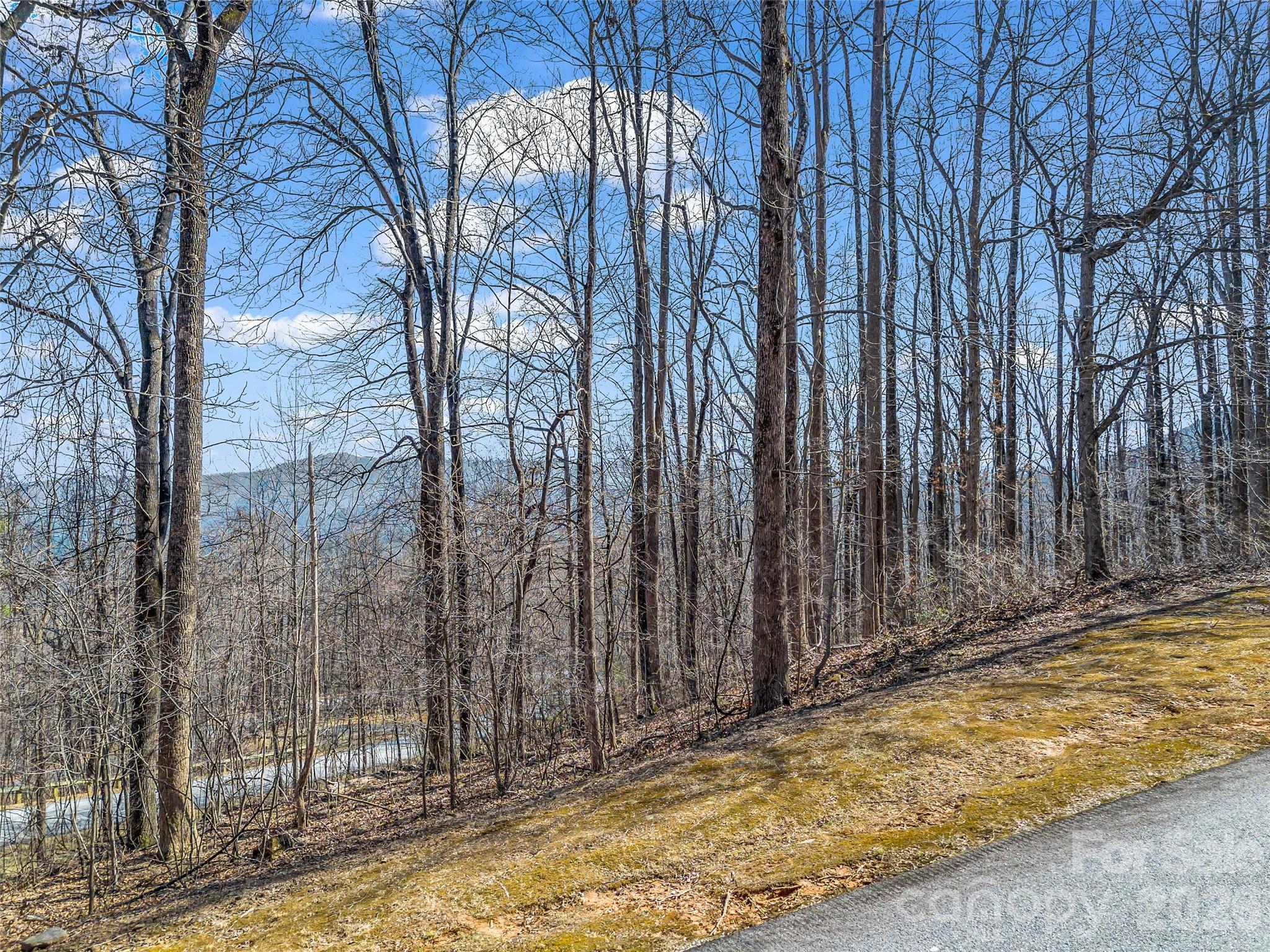 Lot at 183 Chesterfield Drive, Mill Spring, photo 7 of 35
