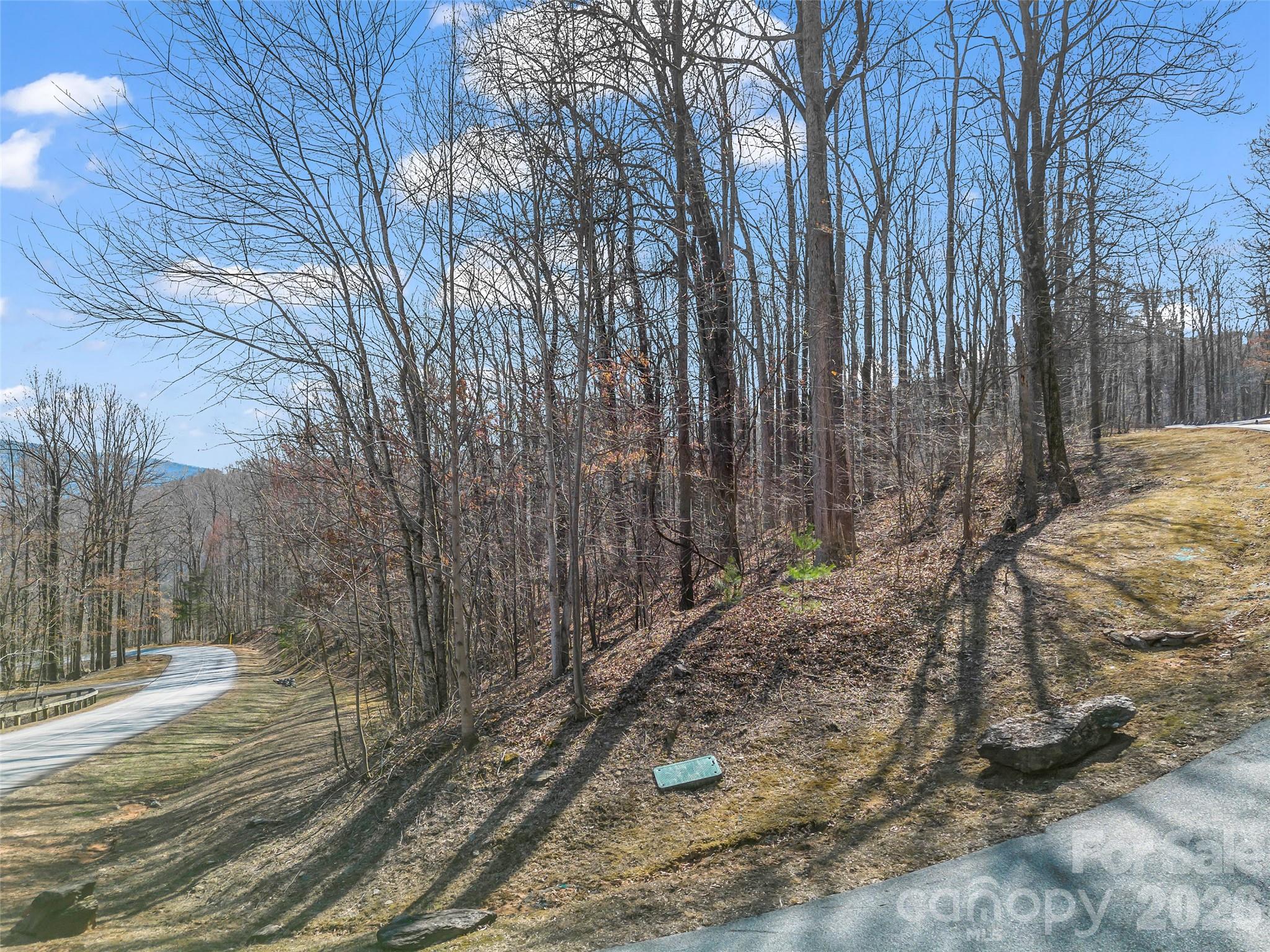 Lot at 183 Chesterfield Drive, Mill Spring, photo 8 of 35