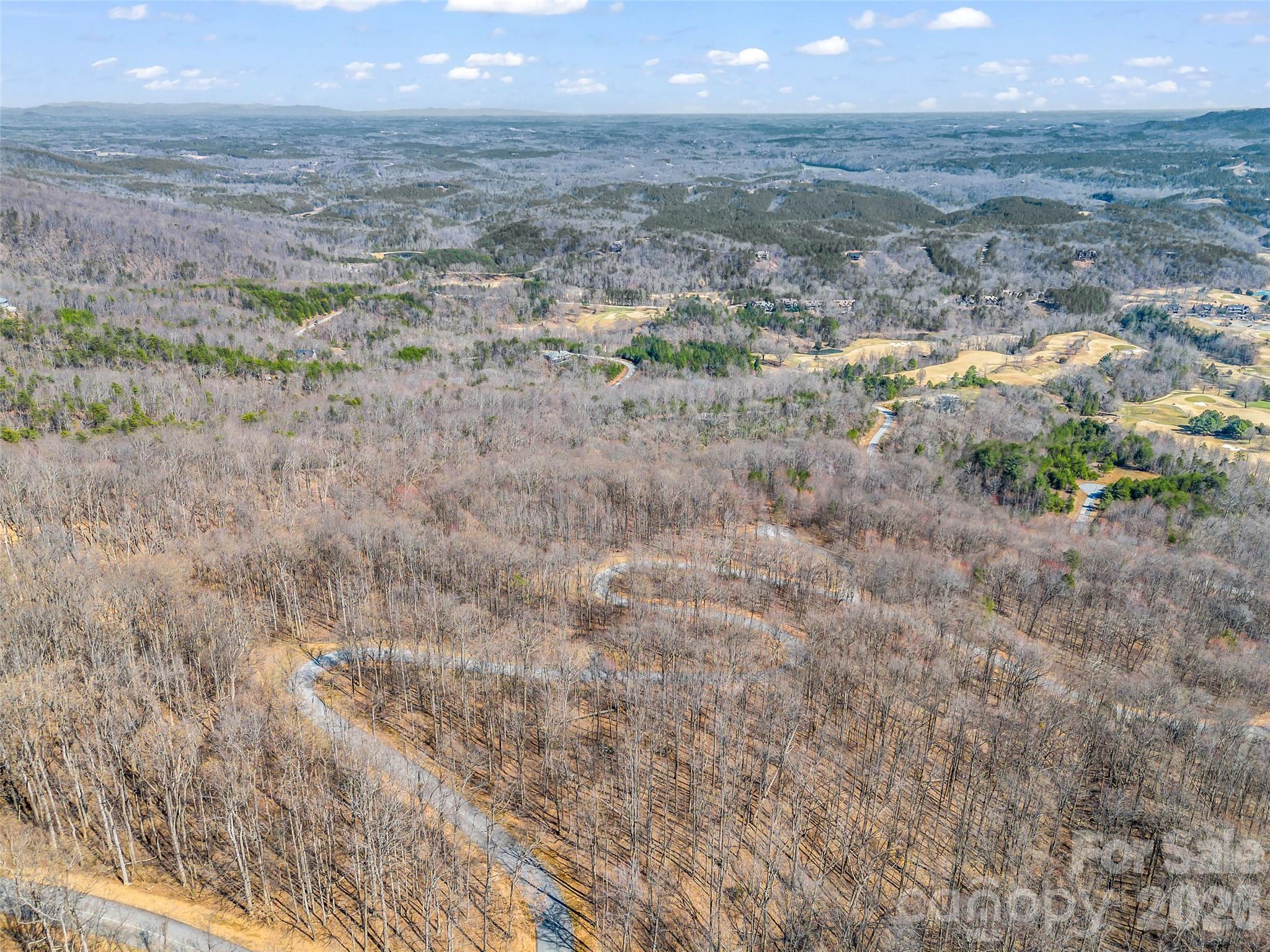 Lot at 183 Chesterfield Drive, Mill Spring, photo 9 of 35