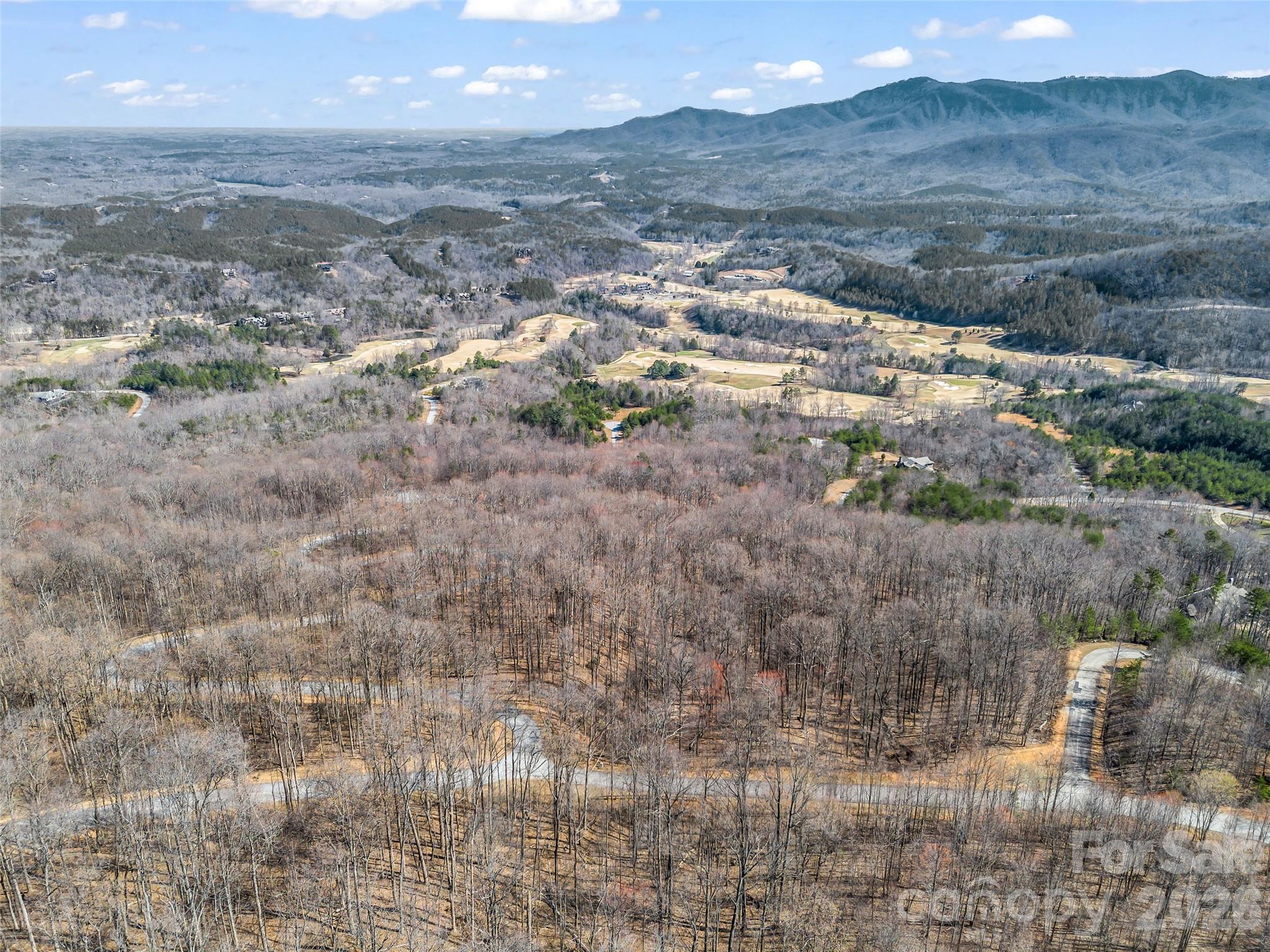 Lot at 183 Chesterfield Drive, Mill Spring, photo 17 of 35