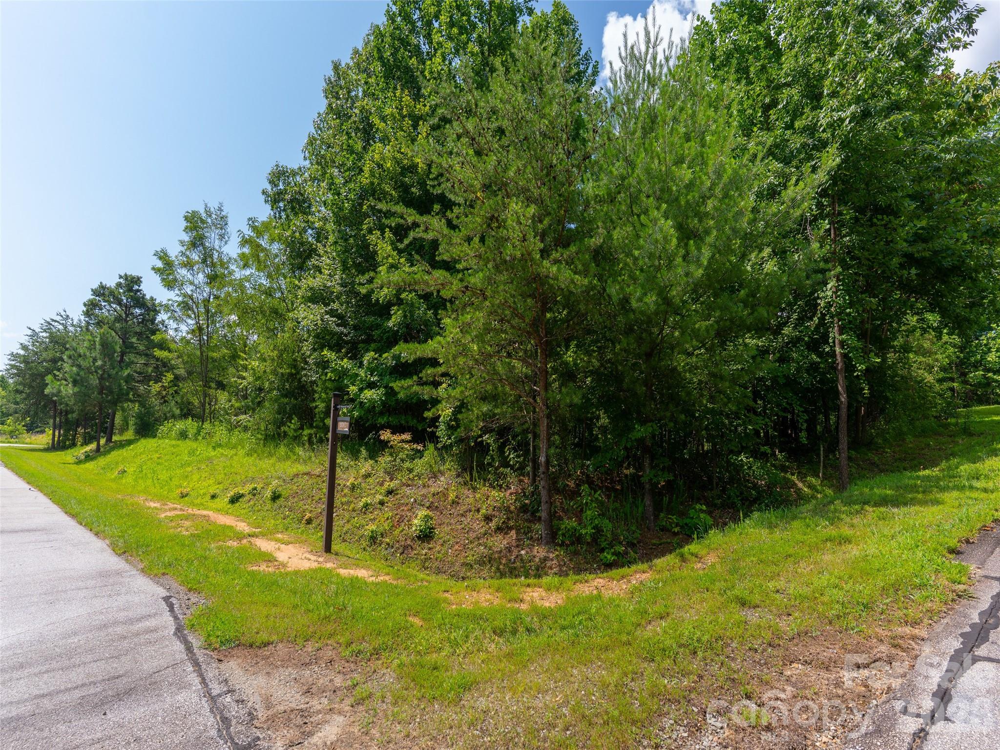 Single Family Residence at 142 Elkton Court, Mill Spring, photo 9 of 24