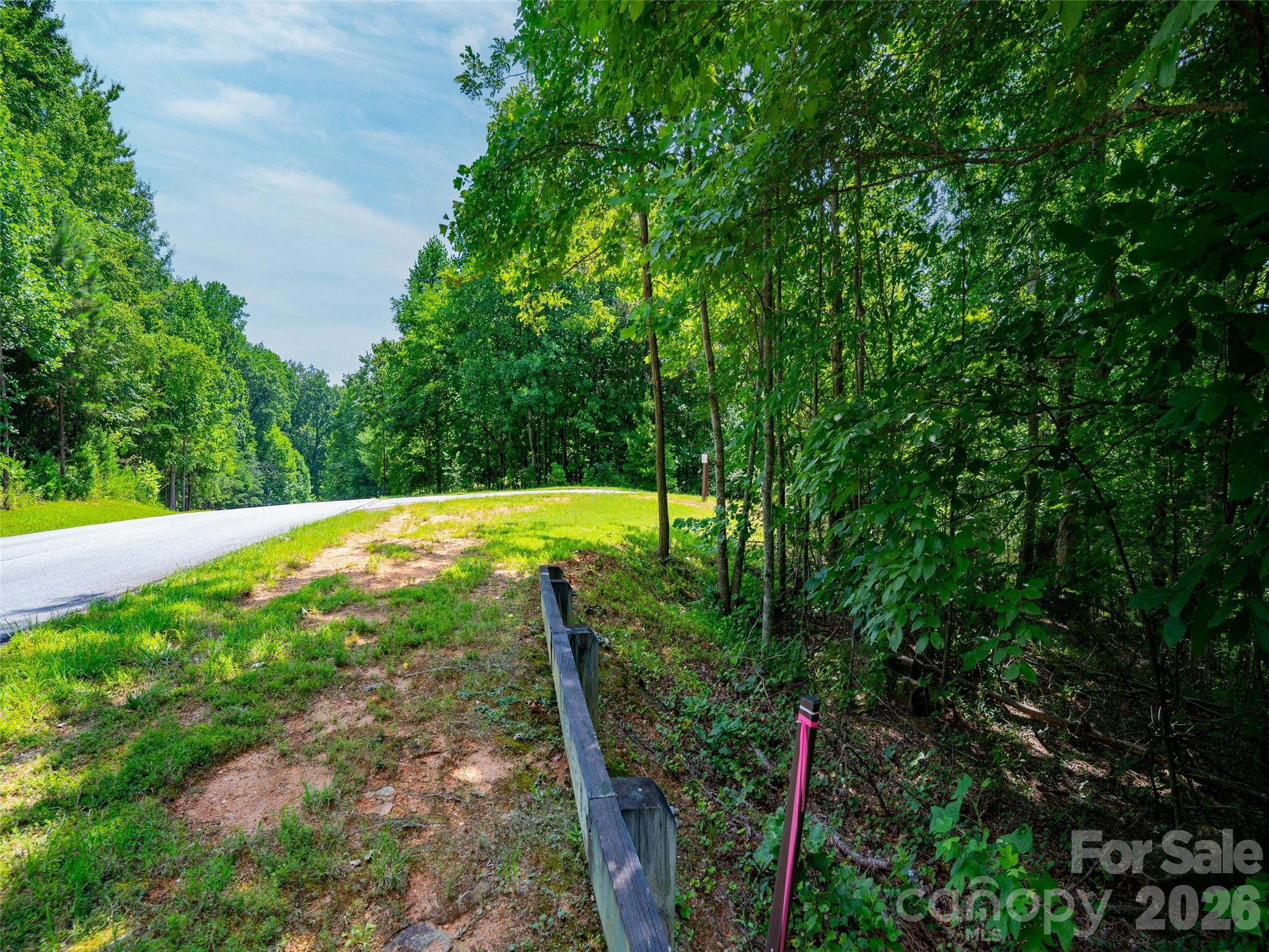 Single Family Residence at 142 Elkton Court, Mill Spring, photo 10 of 24