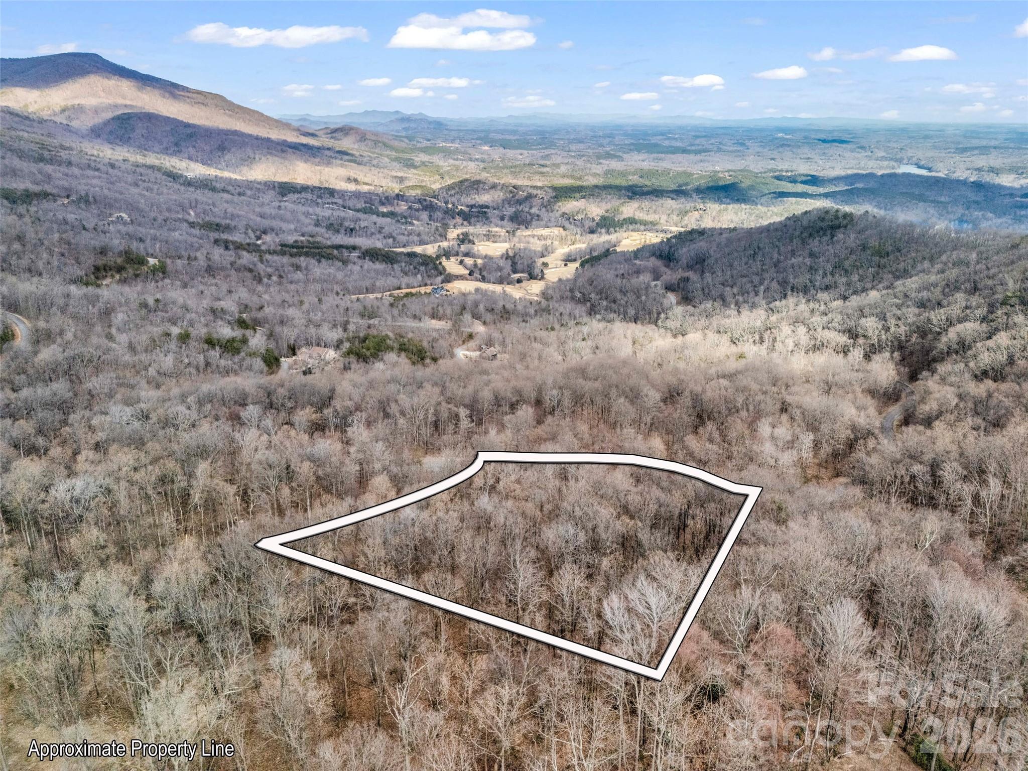 Lot at 2128 Harm Creek Loop, Mill Spring, photo 2 of 28