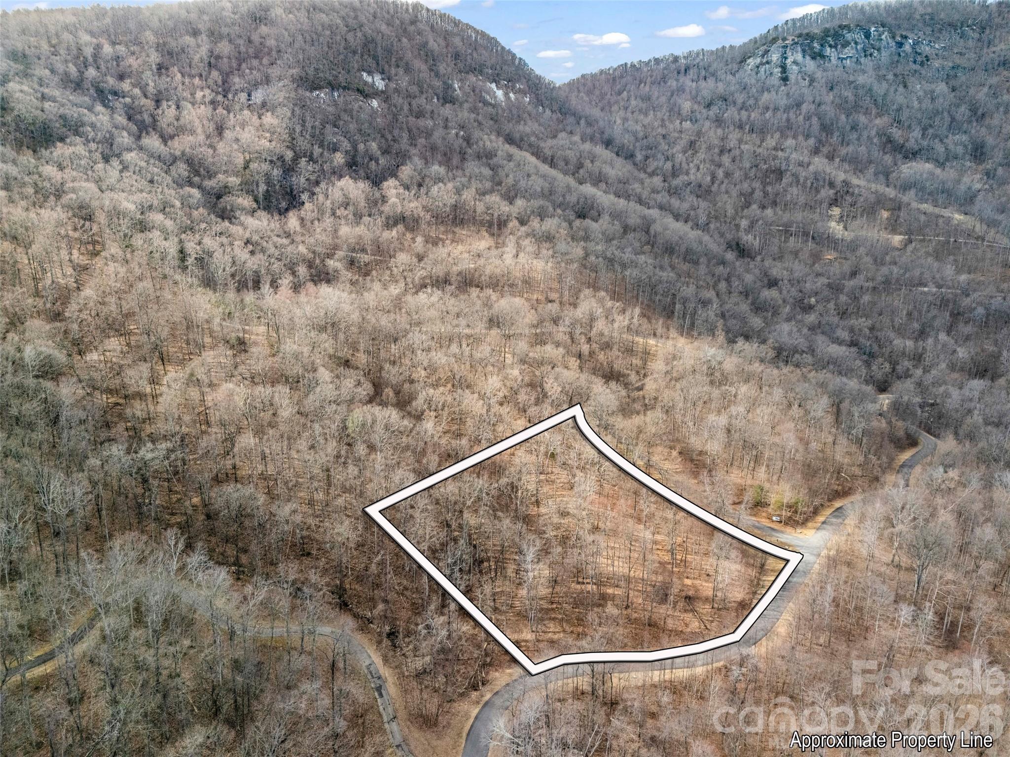 Lot at 2128 Harm Creek Loop, Mill Spring, photo 3 of 28