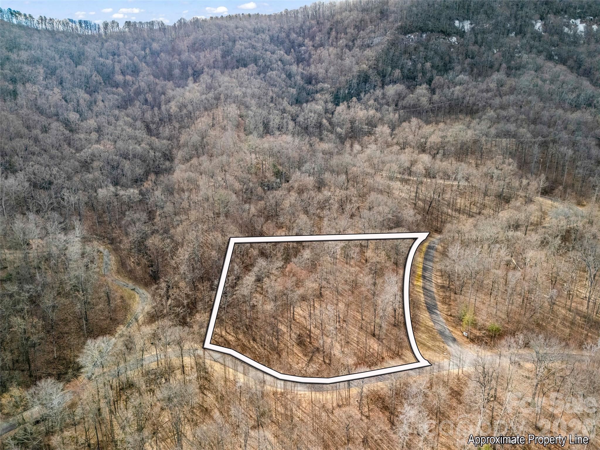 Lot at 2128 Harm Creek Loop, Mill Spring, photo 4 of 28