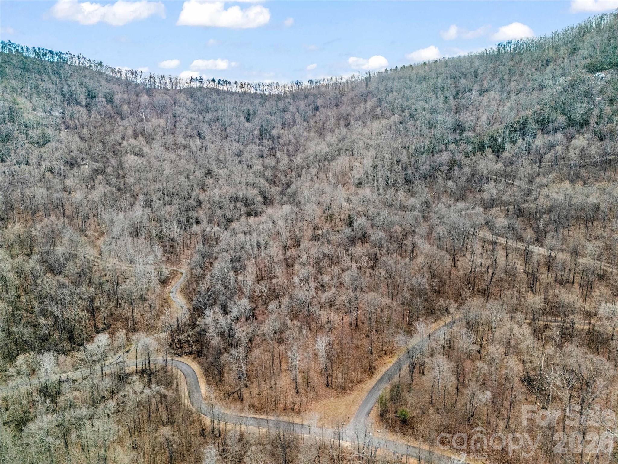 Lot at 2128 Harm Creek Loop, Mill Spring, photo 5 of 28