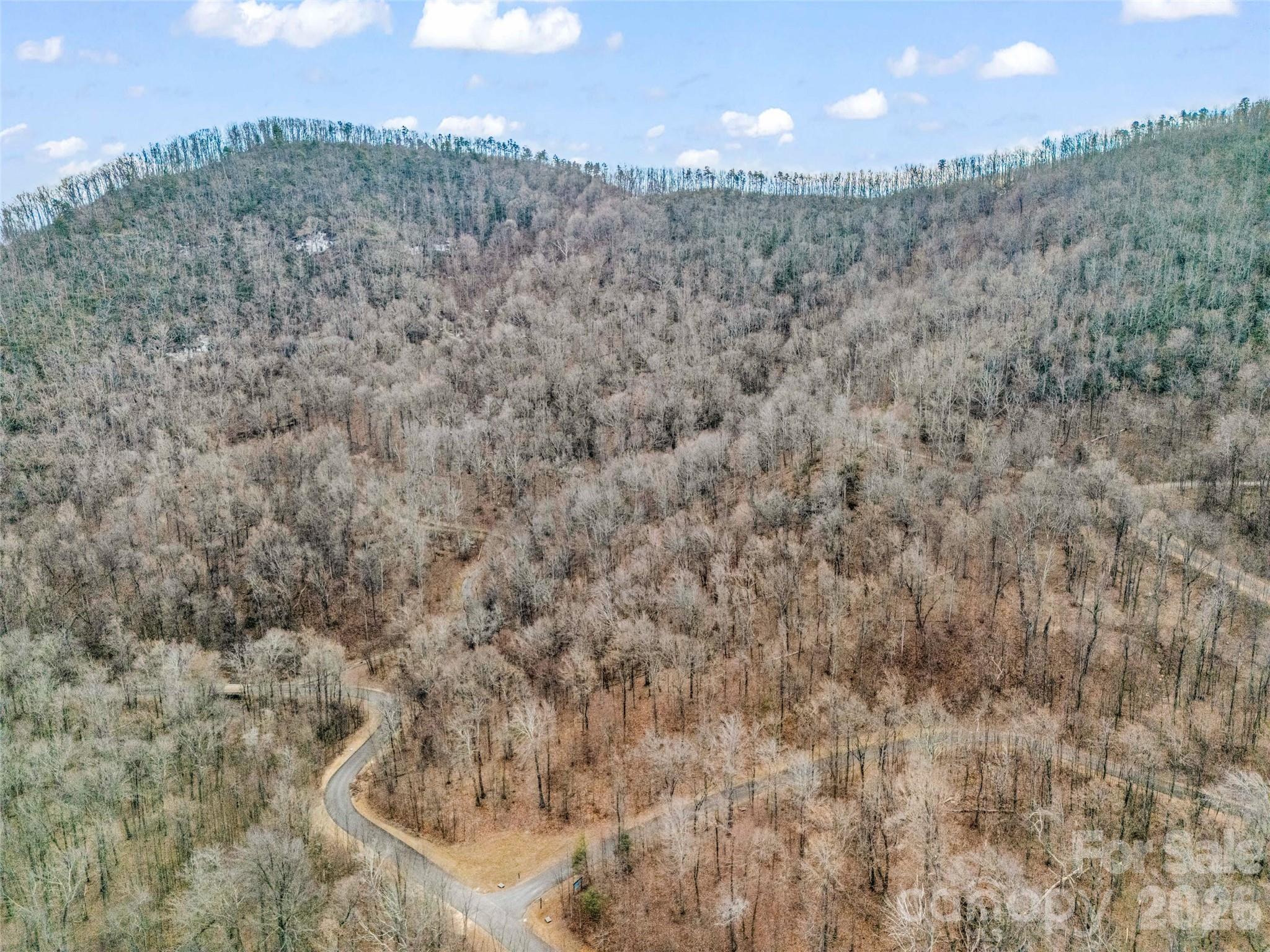 Lot at 2128 Harm Creek Loop, Mill Spring, photo 6 of 28