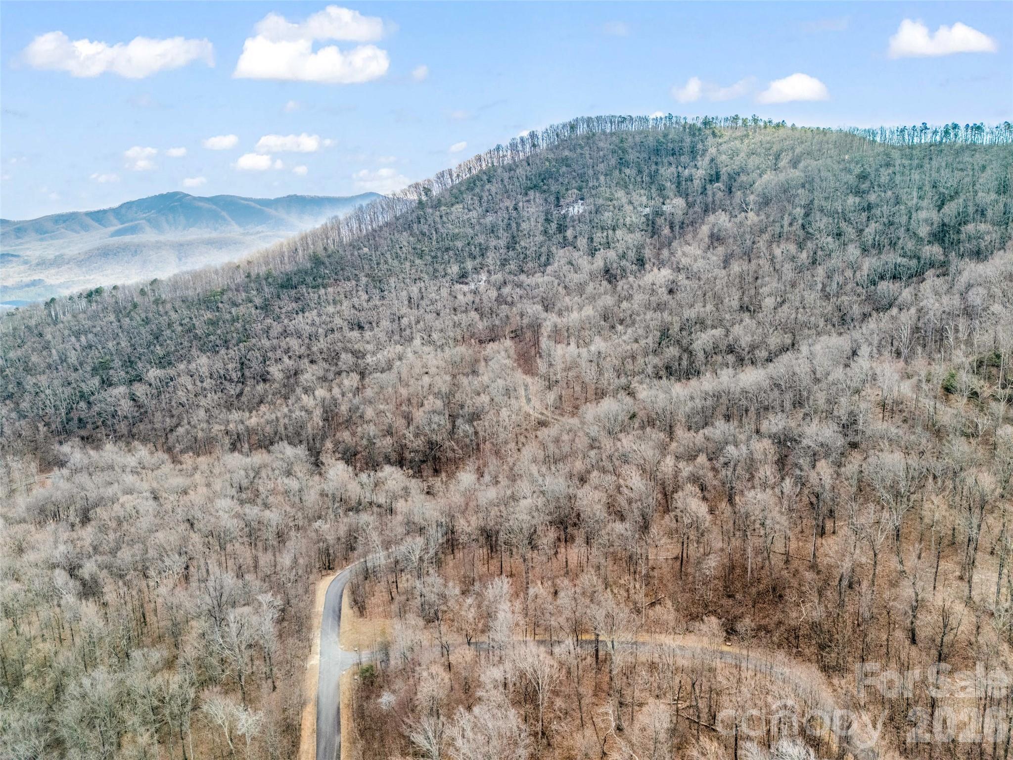 Lot at 2128 Harm Creek Loop, Mill Spring, photo 7 of 28
