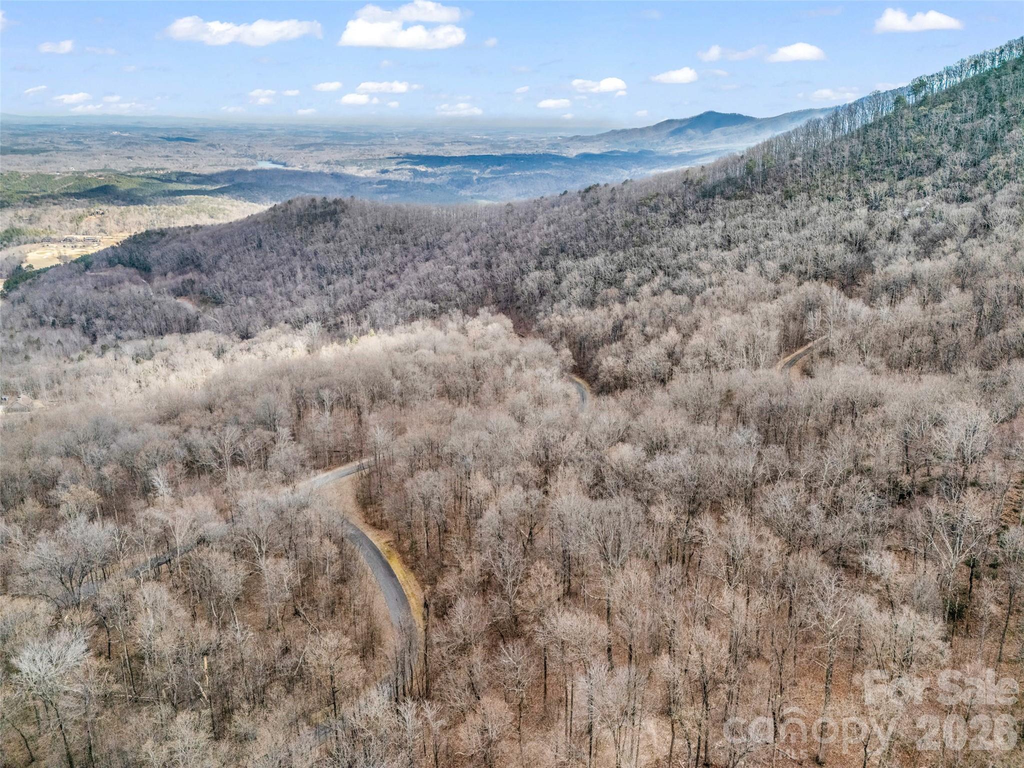 Lot at 2128 Harm Creek Loop, Mill Spring, photo 8 of 28