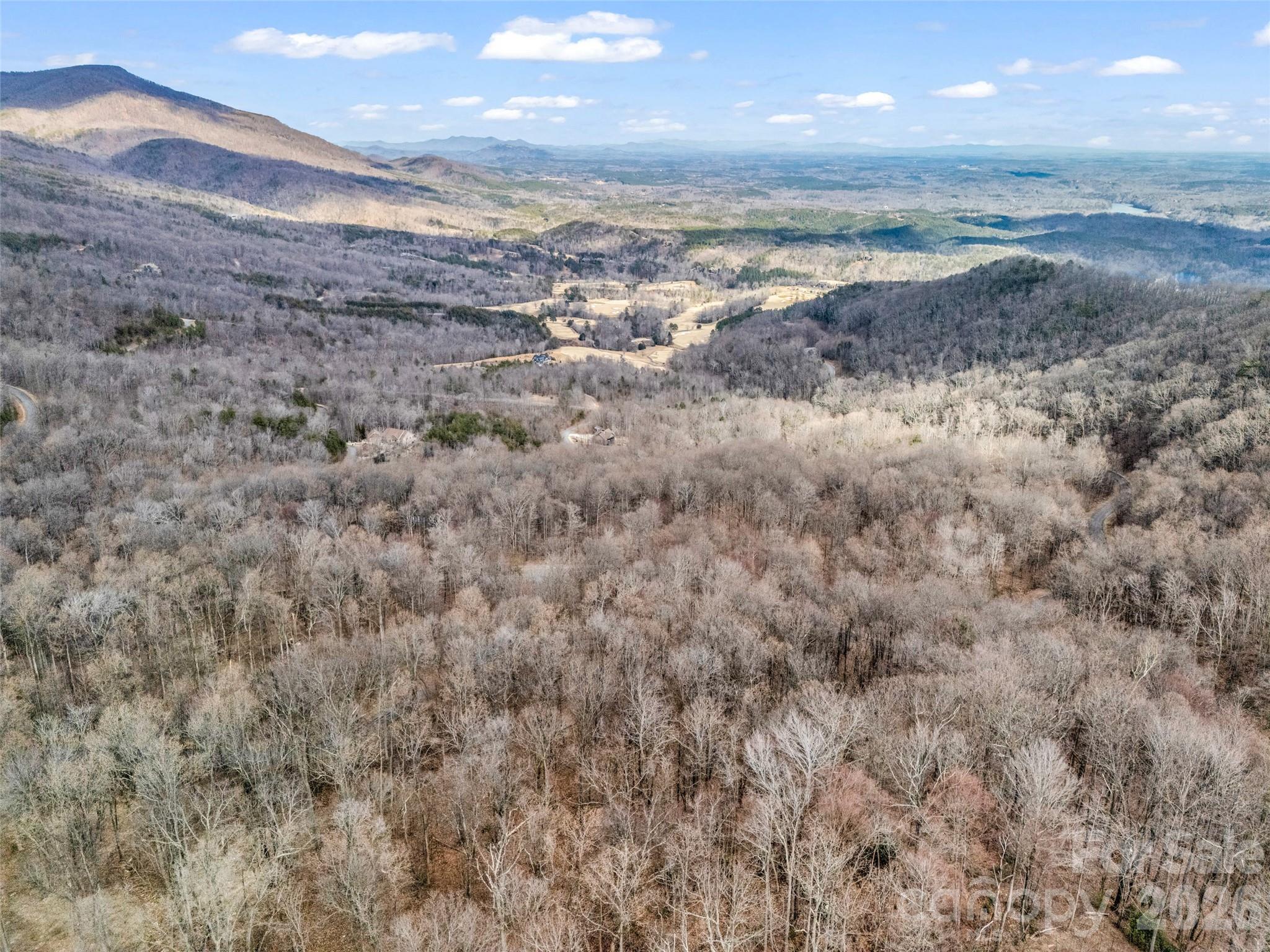 Lot at 2128 Harm Creek Loop, Mill Spring, photo 9 of 28