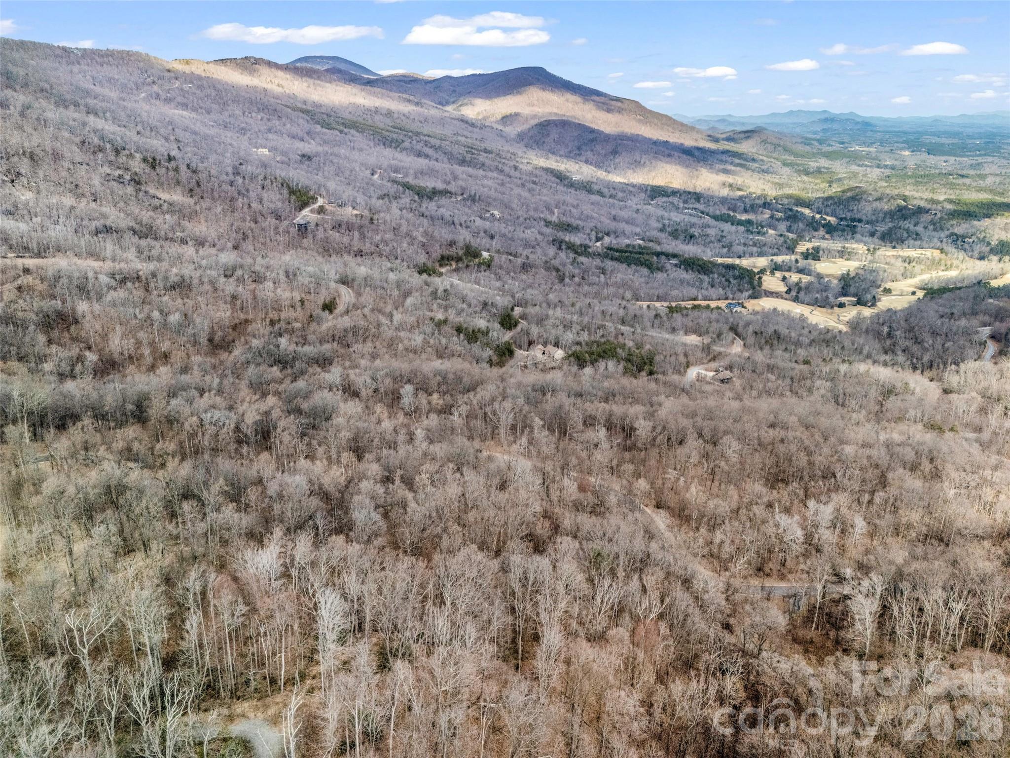 Lot at 2128 Harm Creek Loop, Mill Spring, photo 10 of 28