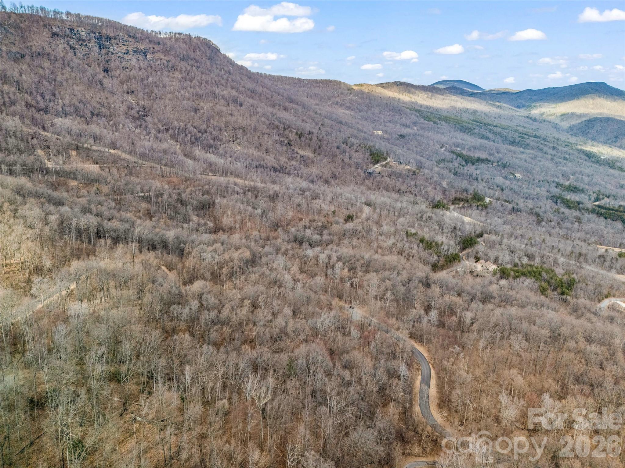 Lot at 2128 Harm Creek Loop, Mill Spring, photo 11 of 28
