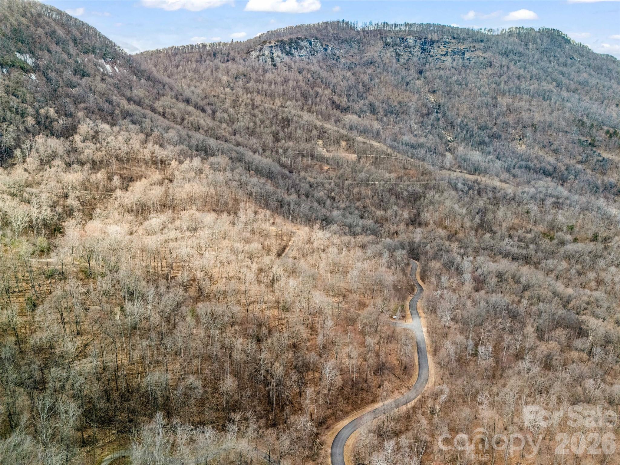 Lot at 2128 Harm Creek Loop, Mill Spring, photo 12 of 28