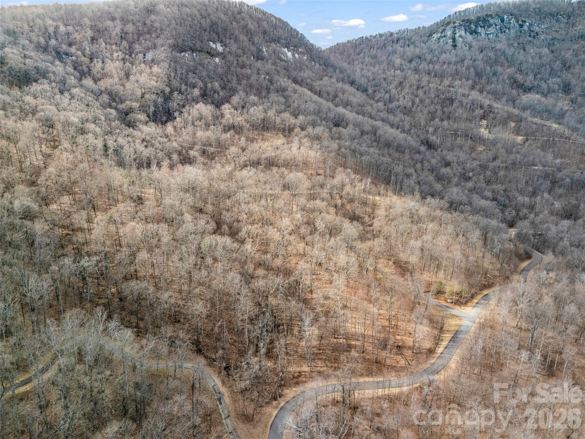 Lot at 2128 Harm Creek Loop, Mill Spring, photo 13 of 28