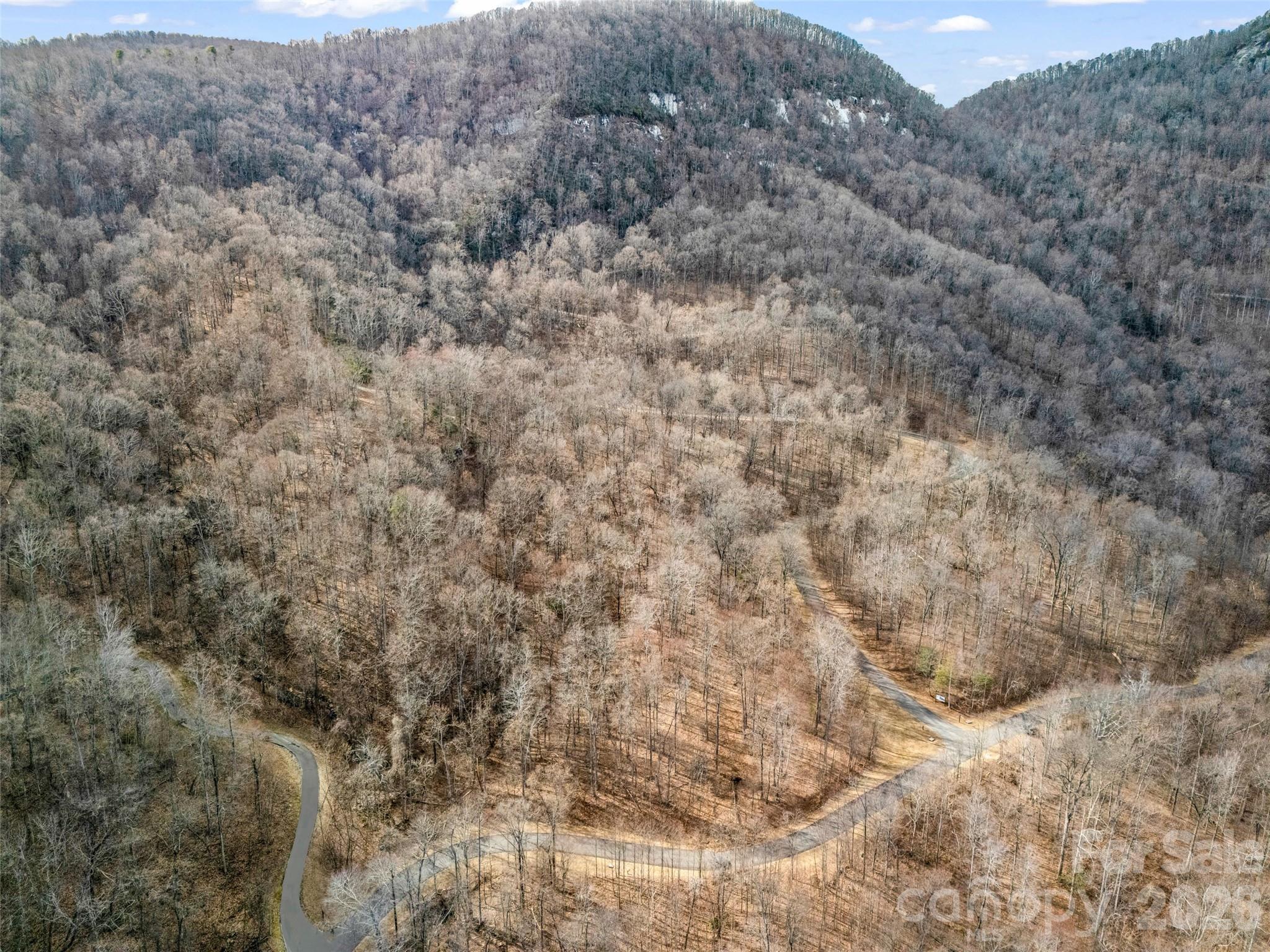 Lot at 2128 Harm Creek Loop, Mill Spring, photo 14 of 28