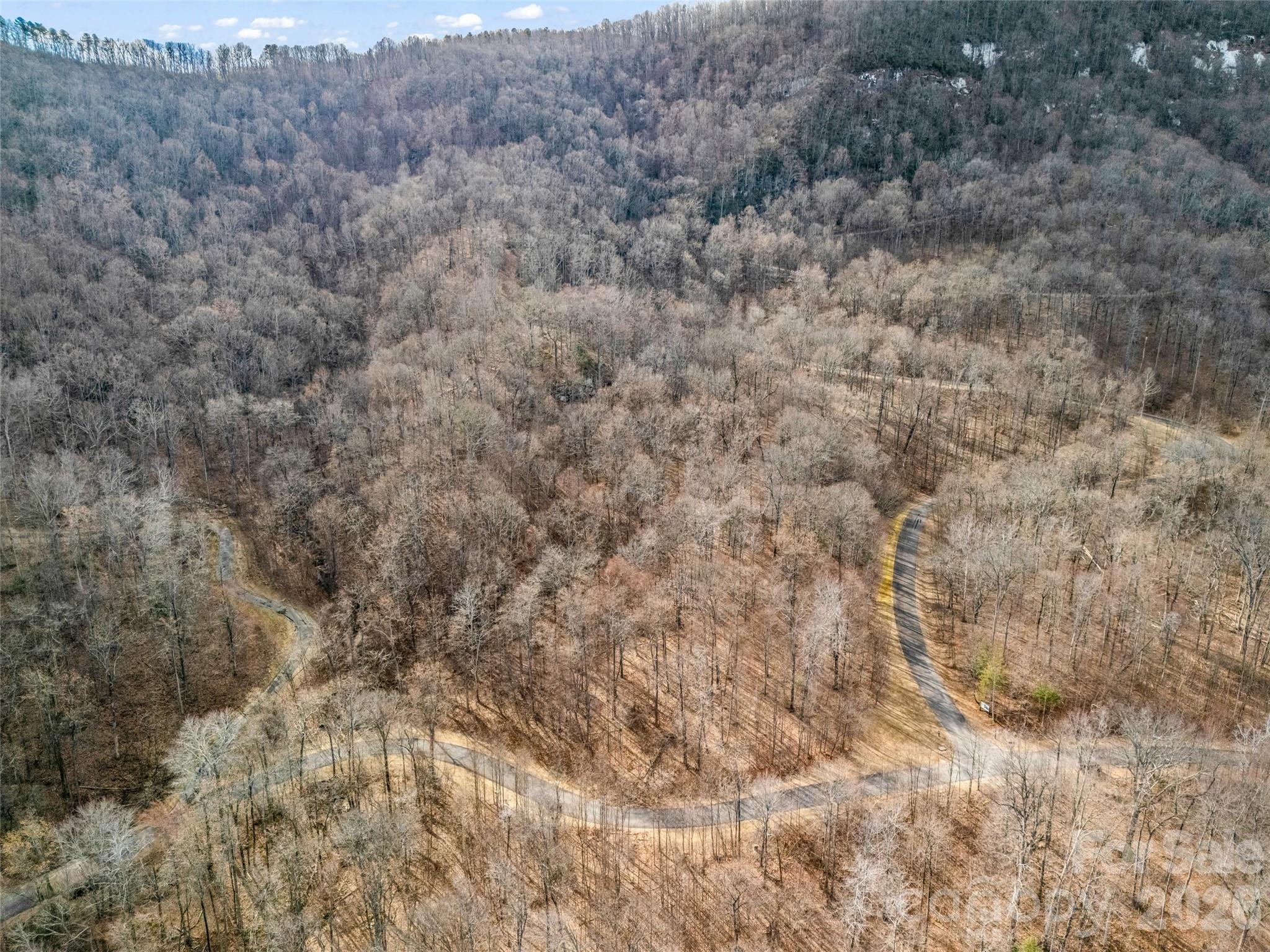 Lot at 2128 Harm Creek Loop, Mill Spring, photo 15 of 28