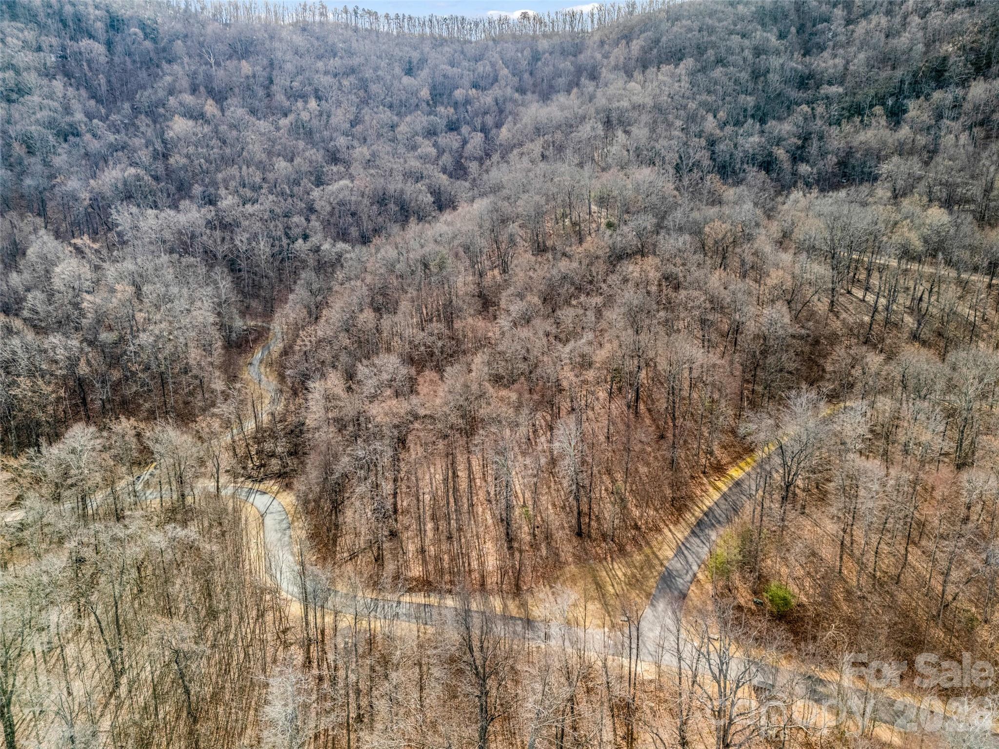 Lot at 2128 Harm Creek Loop, Mill Spring, photo 16 of 28