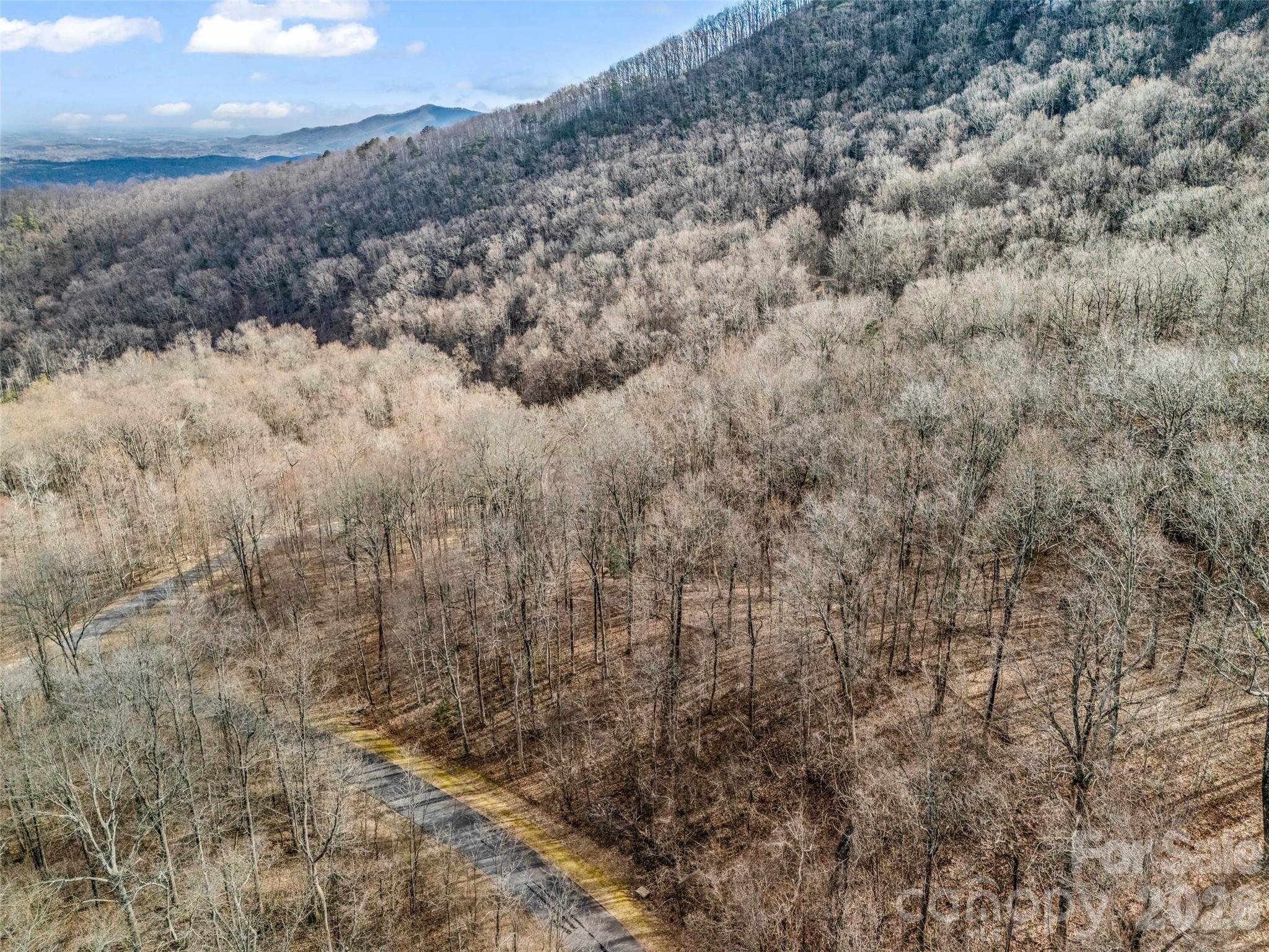 Lot at 2128 Harm Creek Loop, Mill Spring, photo 17 of 28
