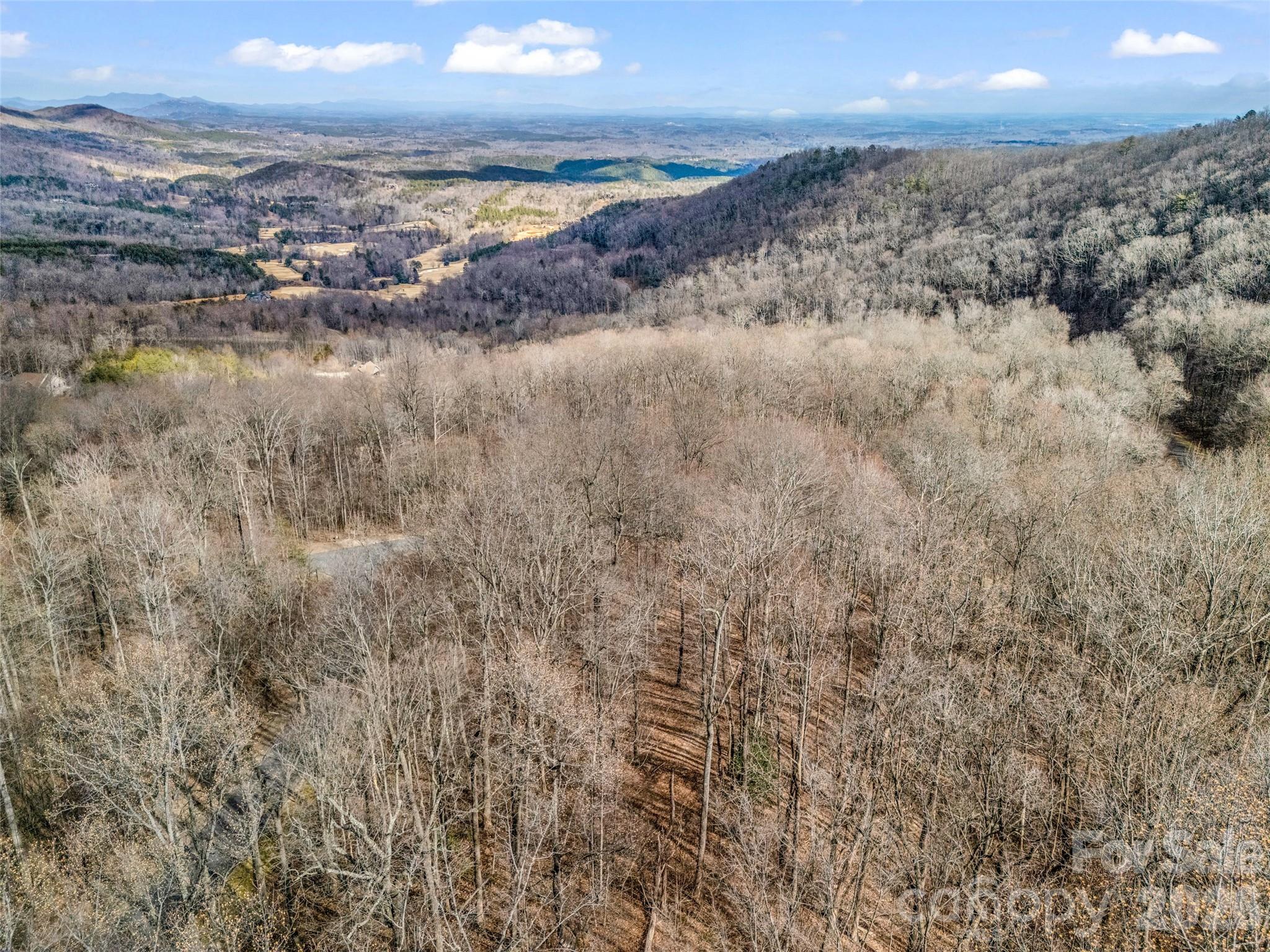Lot at 2128 Harm Creek Loop, Mill Spring, photo 18 of 28