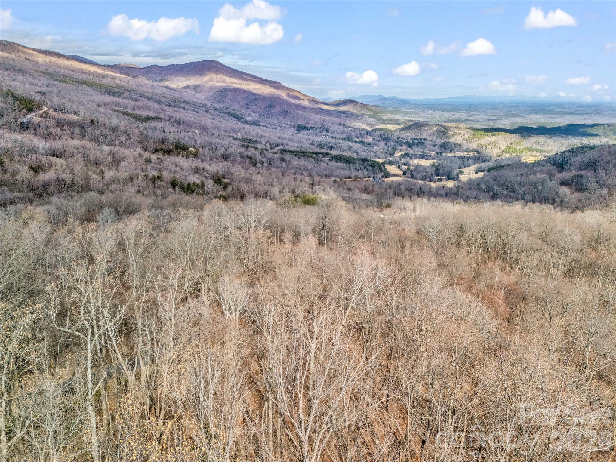 Lot at 2128 Harm Creek Loop, Mill Spring, photo 19 of 28