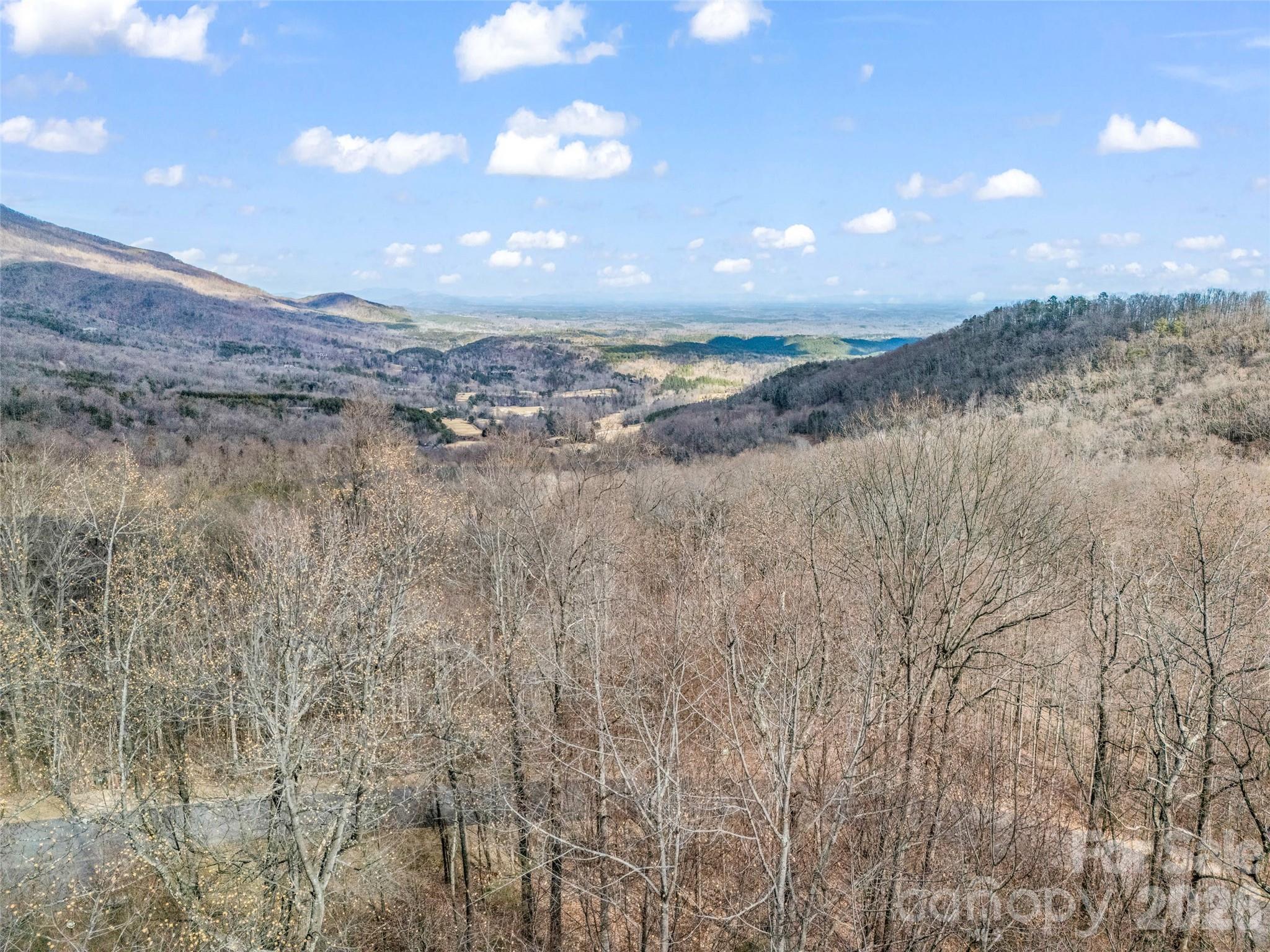 Lot at 2128 Harm Creek Loop, Mill Spring, photo 21 of 28