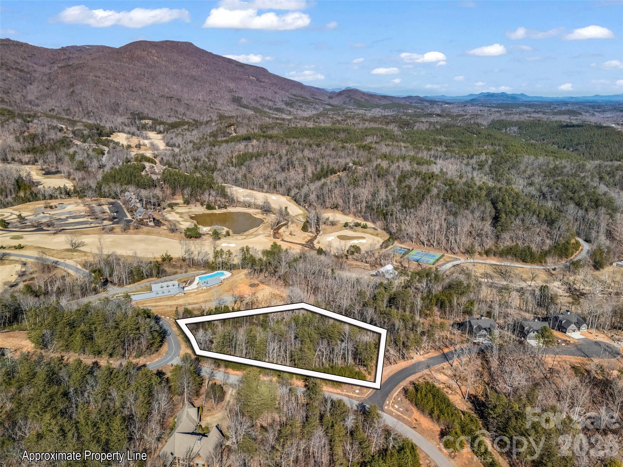 Lot at 2002 Deep Gap Farm Road E, Mill Spring, photo 4 of 33