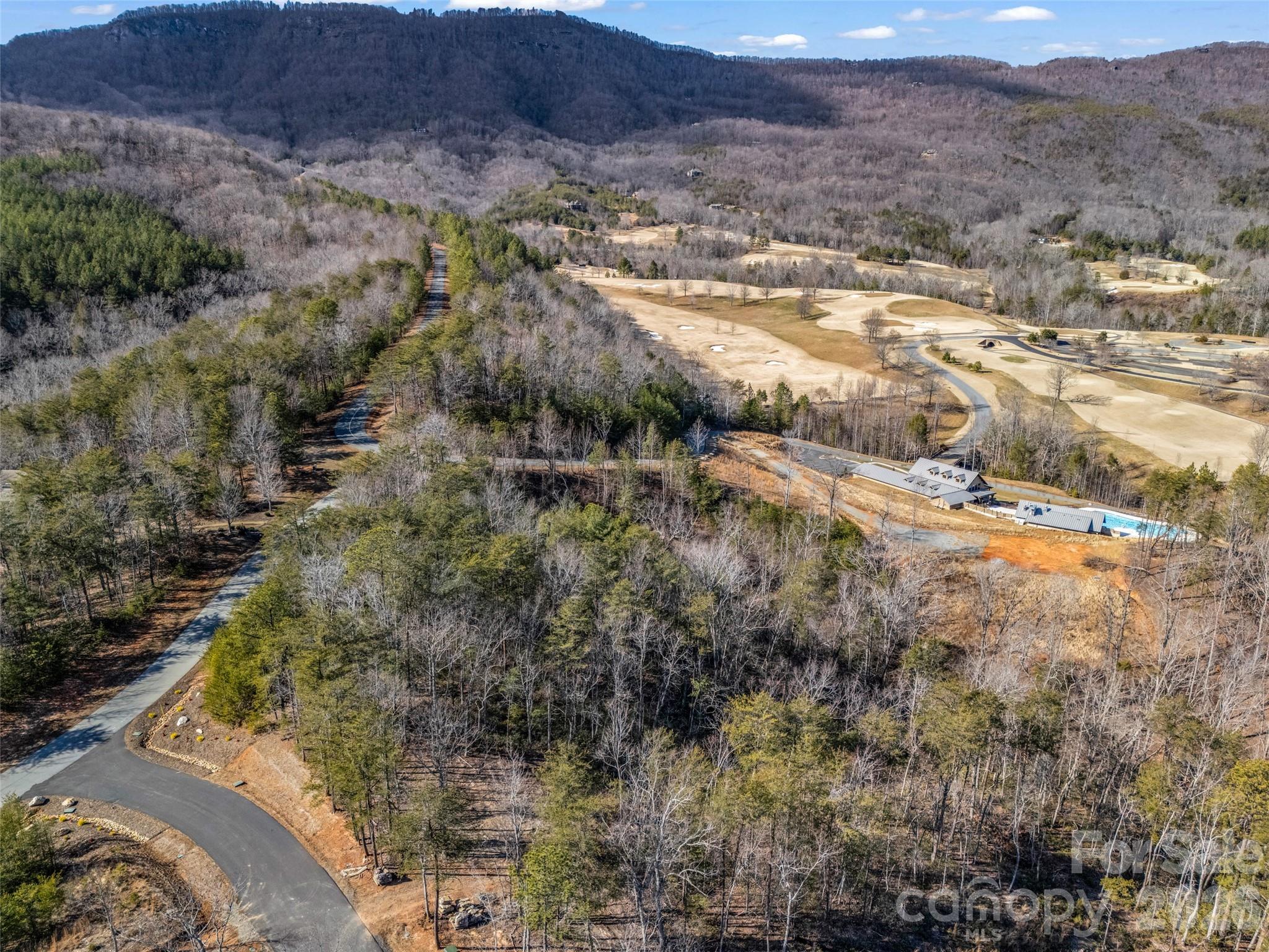Lot at 2002 Deep Gap Farm Road E, Mill Spring, photo 15 of 33