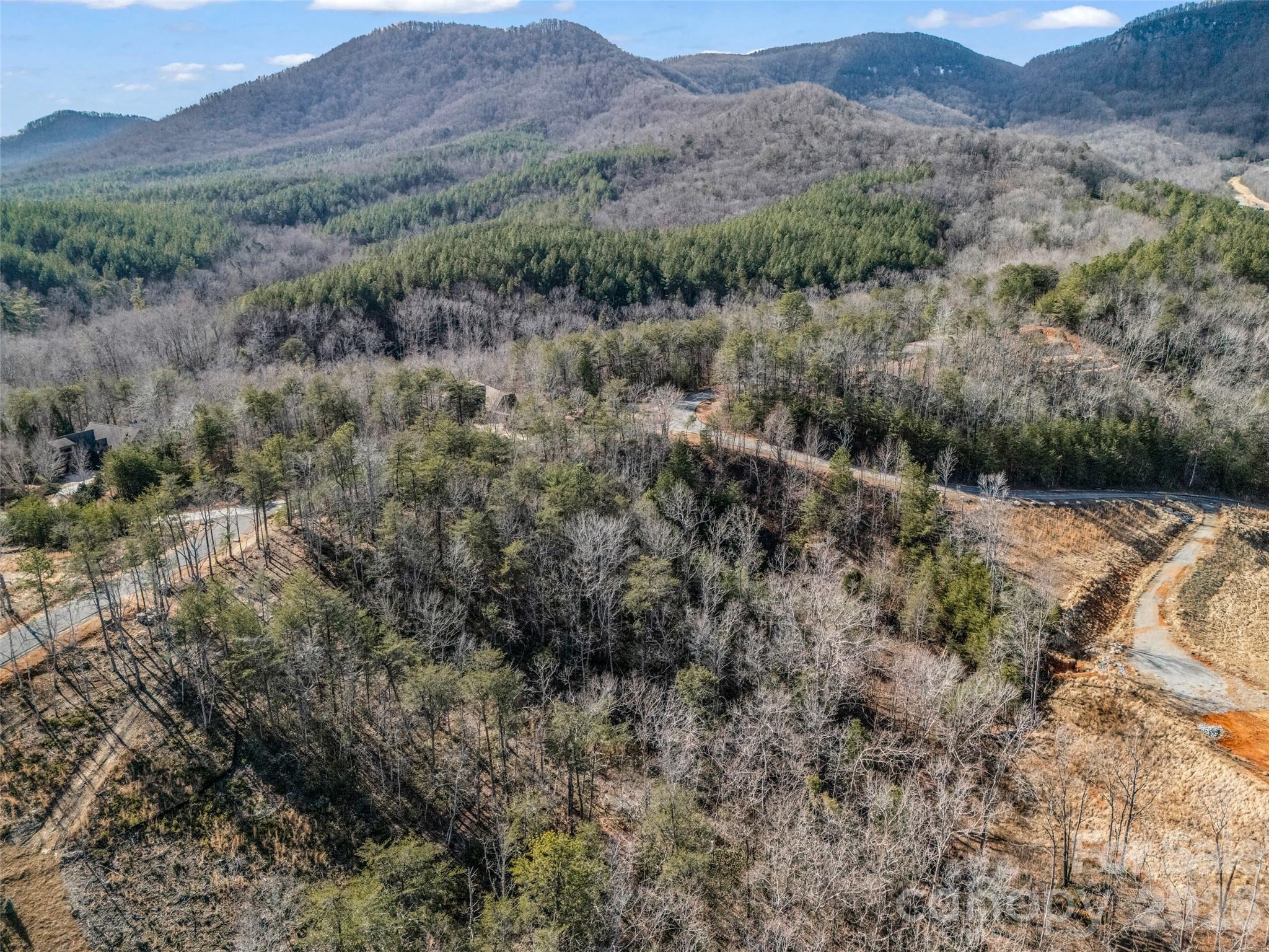 Lot at 2002 Deep Gap Farm Road E, Mill Spring, photo 16 of 33