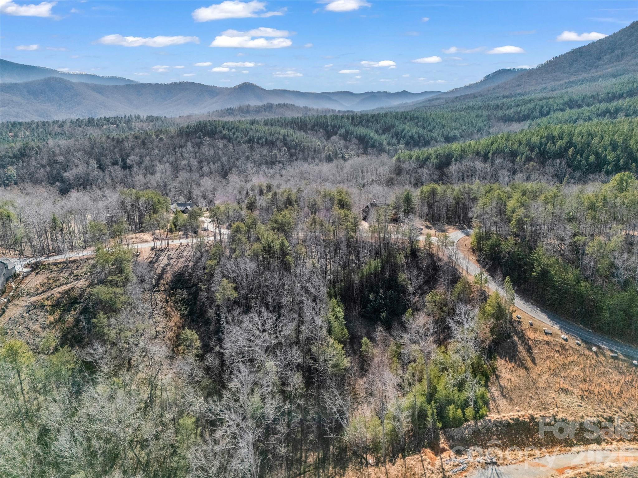 Lot at 2002 Deep Gap Farm Road E, Mill Spring, photo 17 of 33