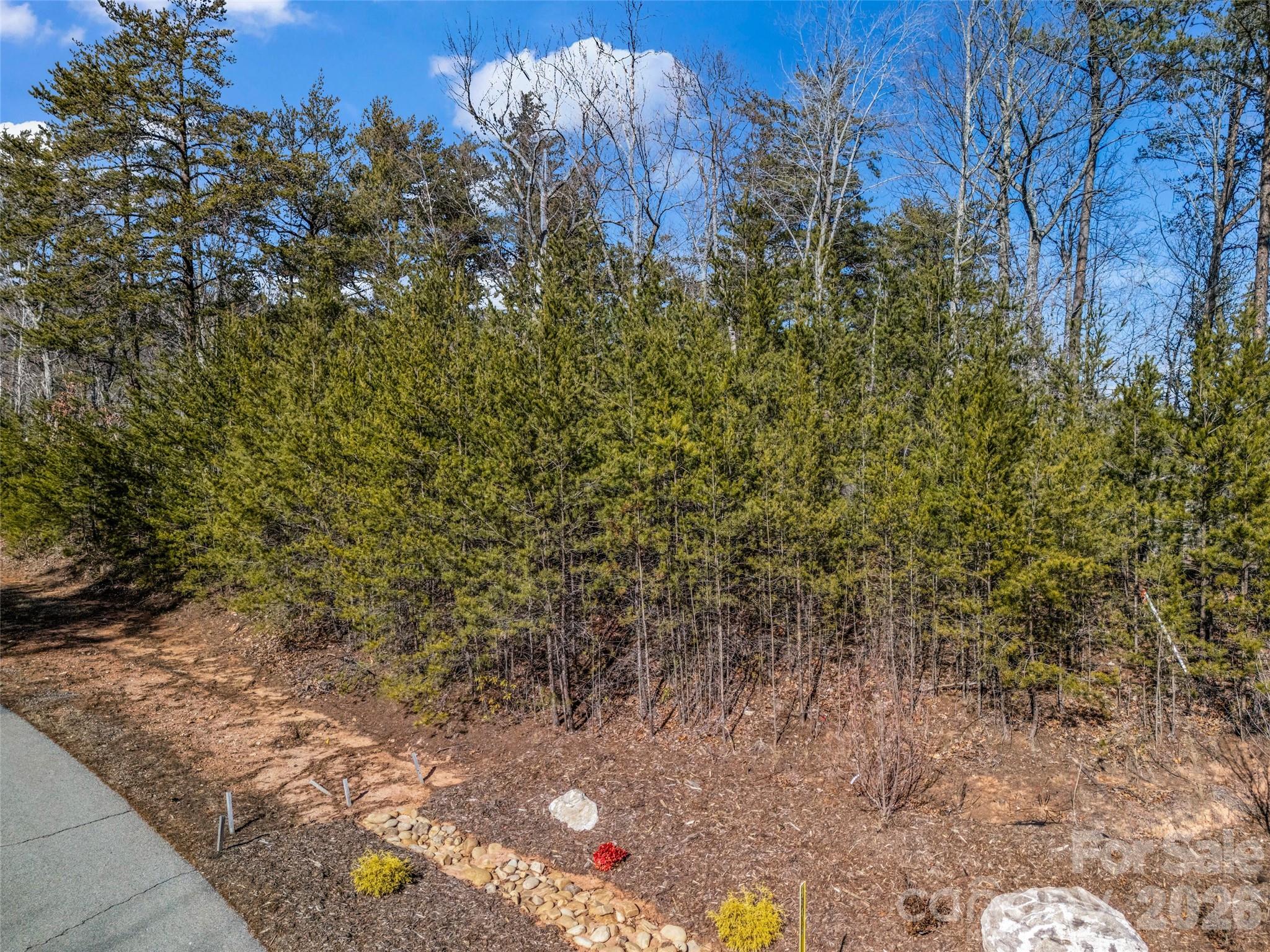 Lot at 2002 Deep Gap Farm Road E, Mill Spring, photo 20 of 33
